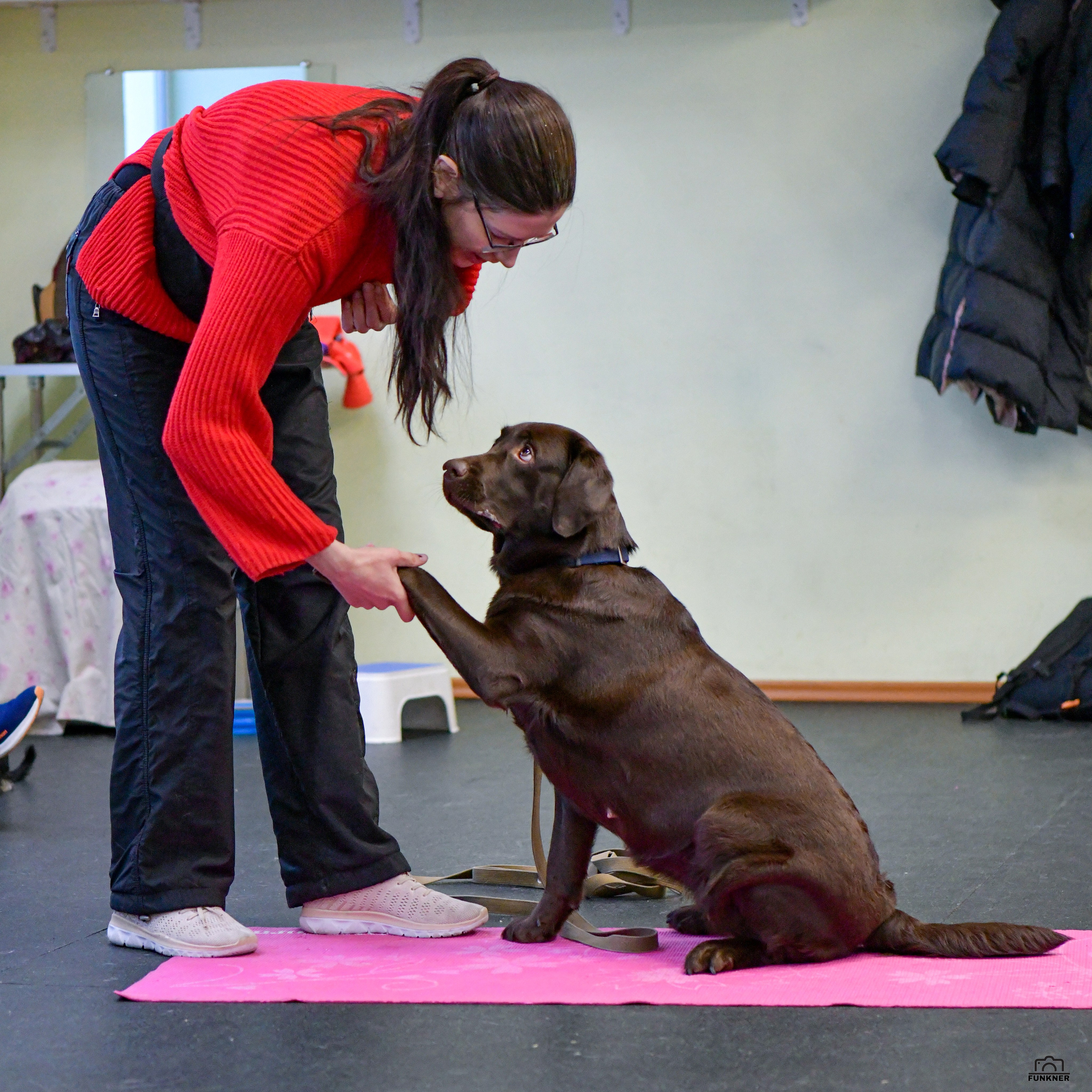 Кинологический клуб «Бодрый хвост». Свой взгляд через объектив