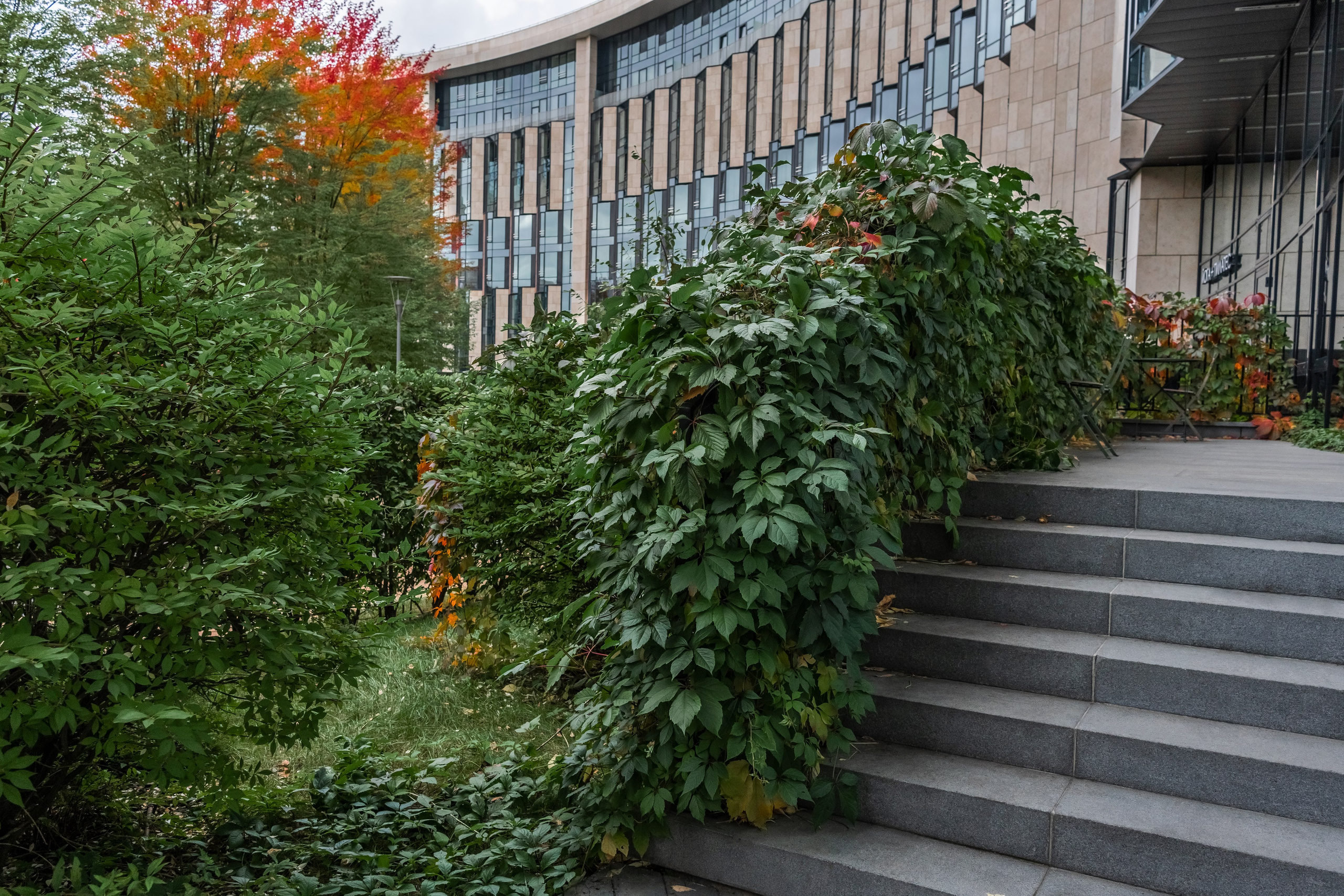Skolkovo Park. Артамонов Александр | Архитектурный и ландшафтный фотограф