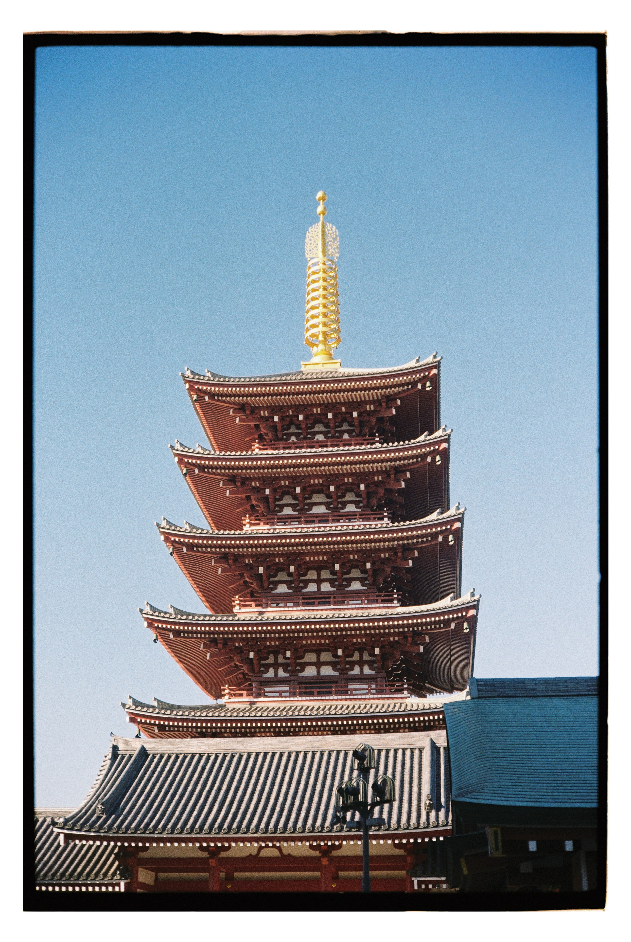 Japan. @tomrus: Рустам Шагиморданов — фотограф