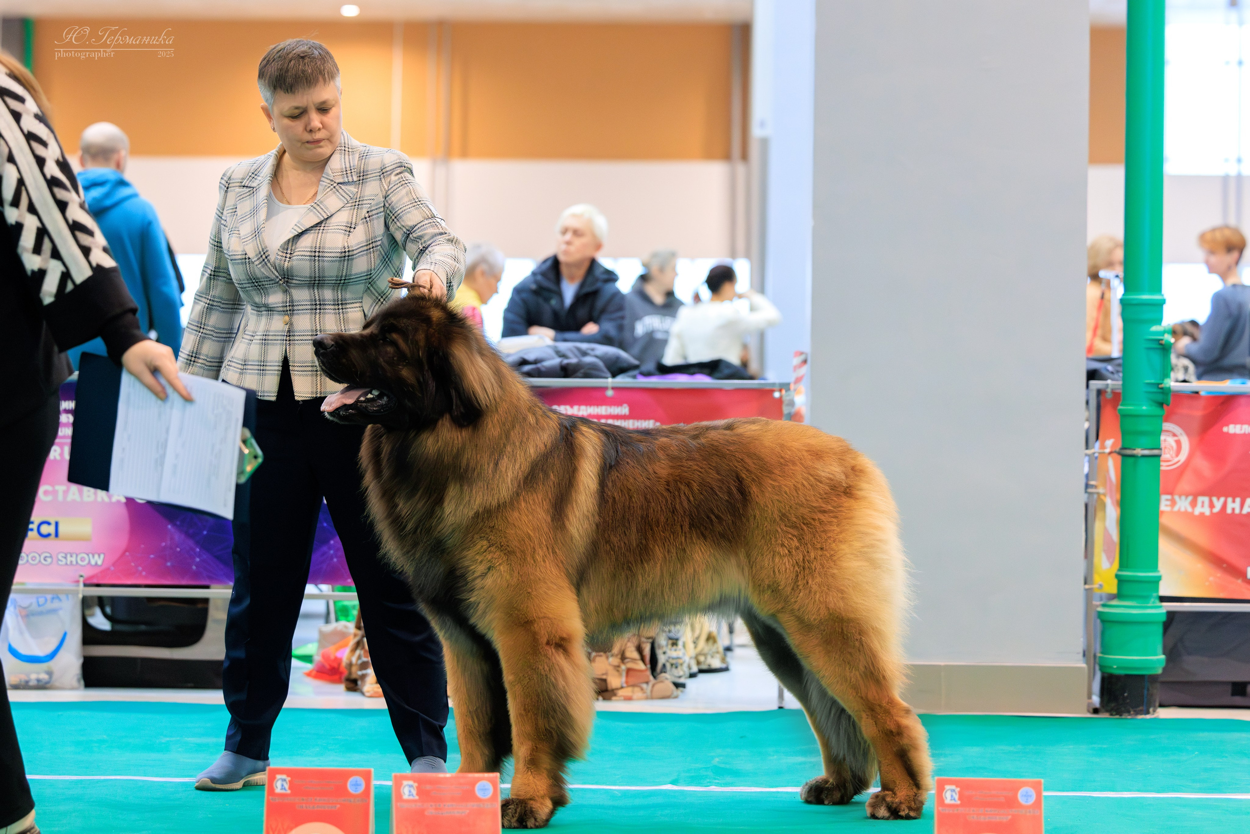 Минск 1-2.03.2025. Фотограф-анималист Юлия Германика