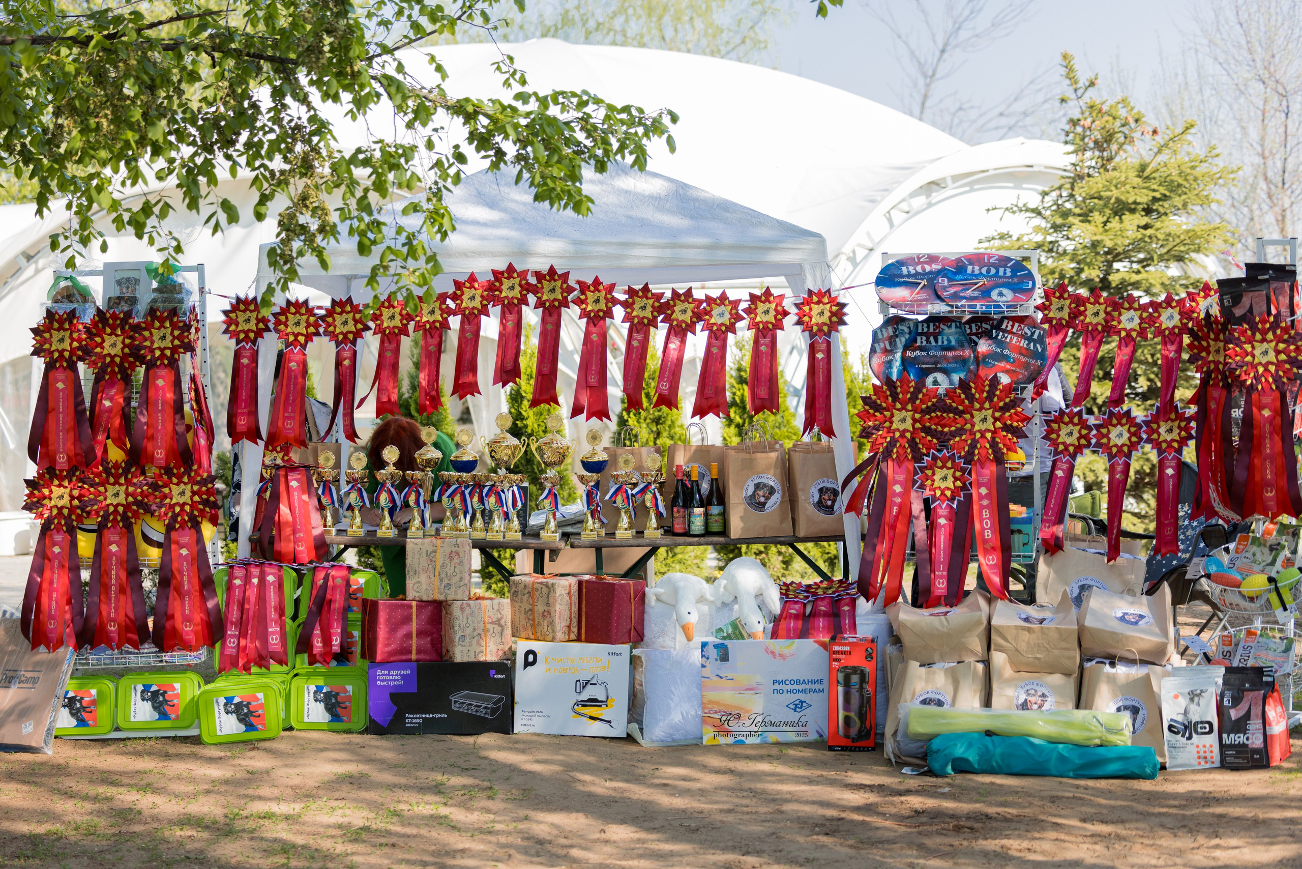 Саратов моно ротвейлеров 26-27.04.2025. Фотограф-анималист Юлия Германика