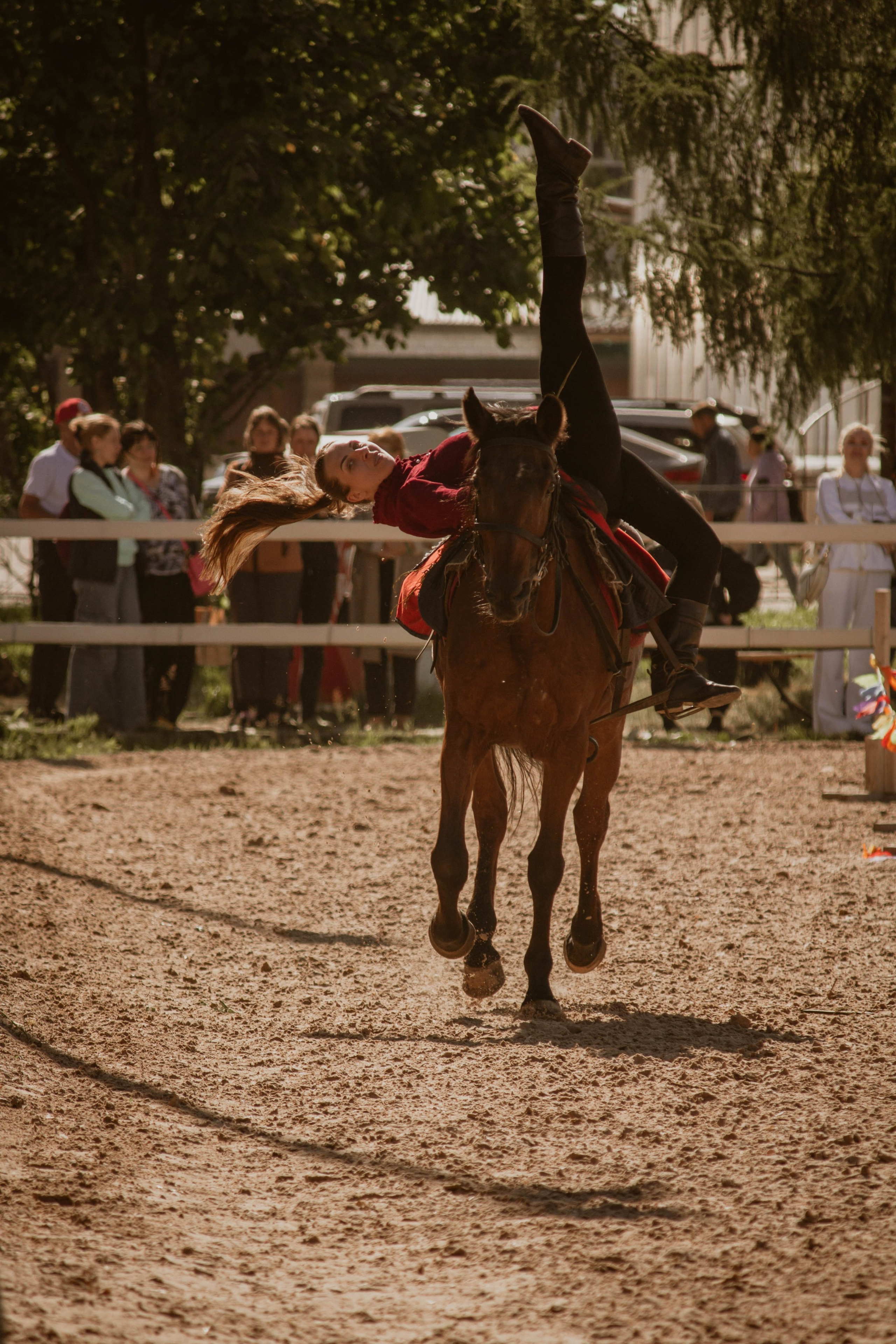 ИППОСФЕРА — Международная конная выставка. Создадим шедевр? Виталина и её фотоискусство