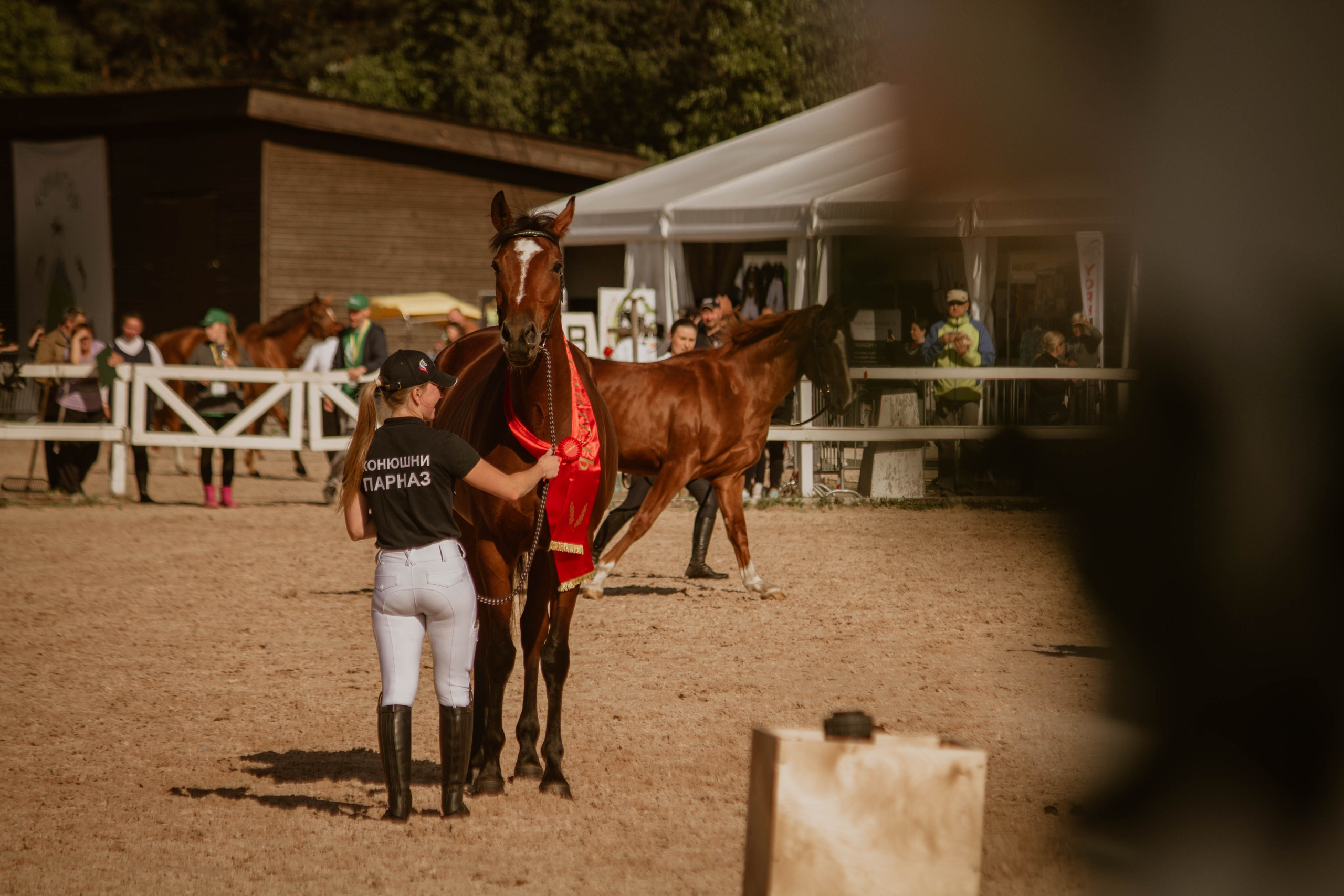 ИППОСФЕРА — Международная конная выставка. Создадим шедевр? Виталина и её фотоискусство