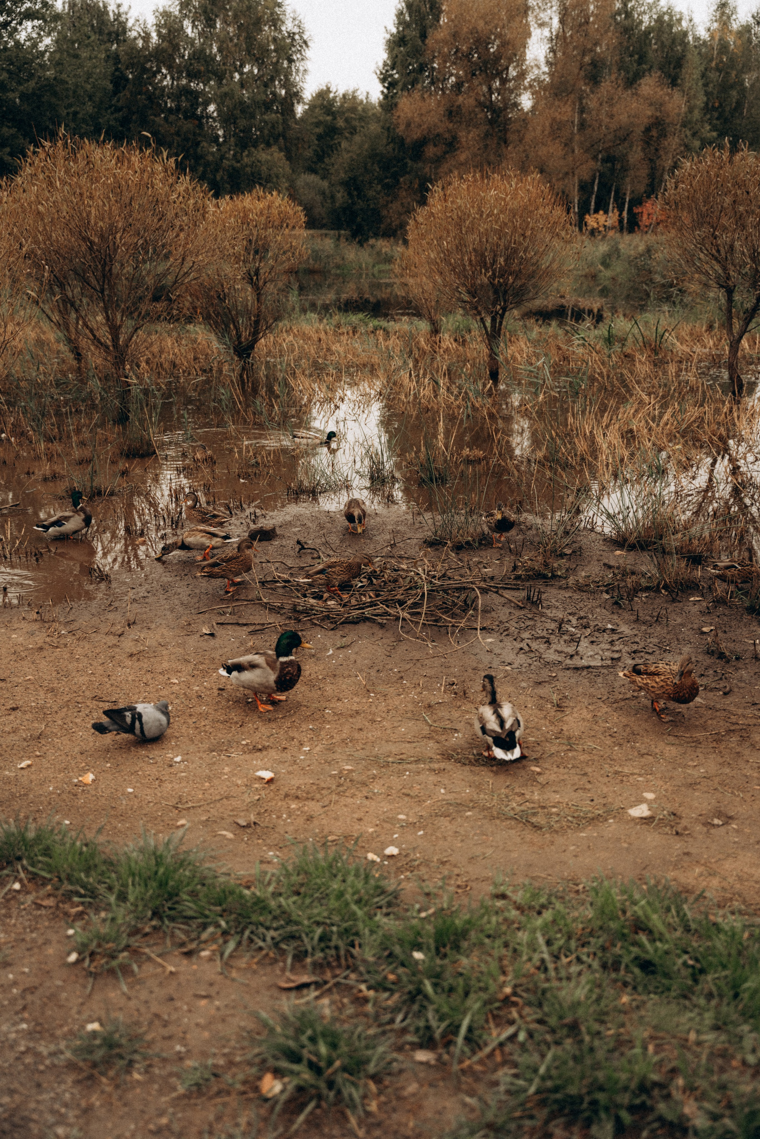 Вика, Дима и Виталинка. Фотограф Мария Миллс | Минск