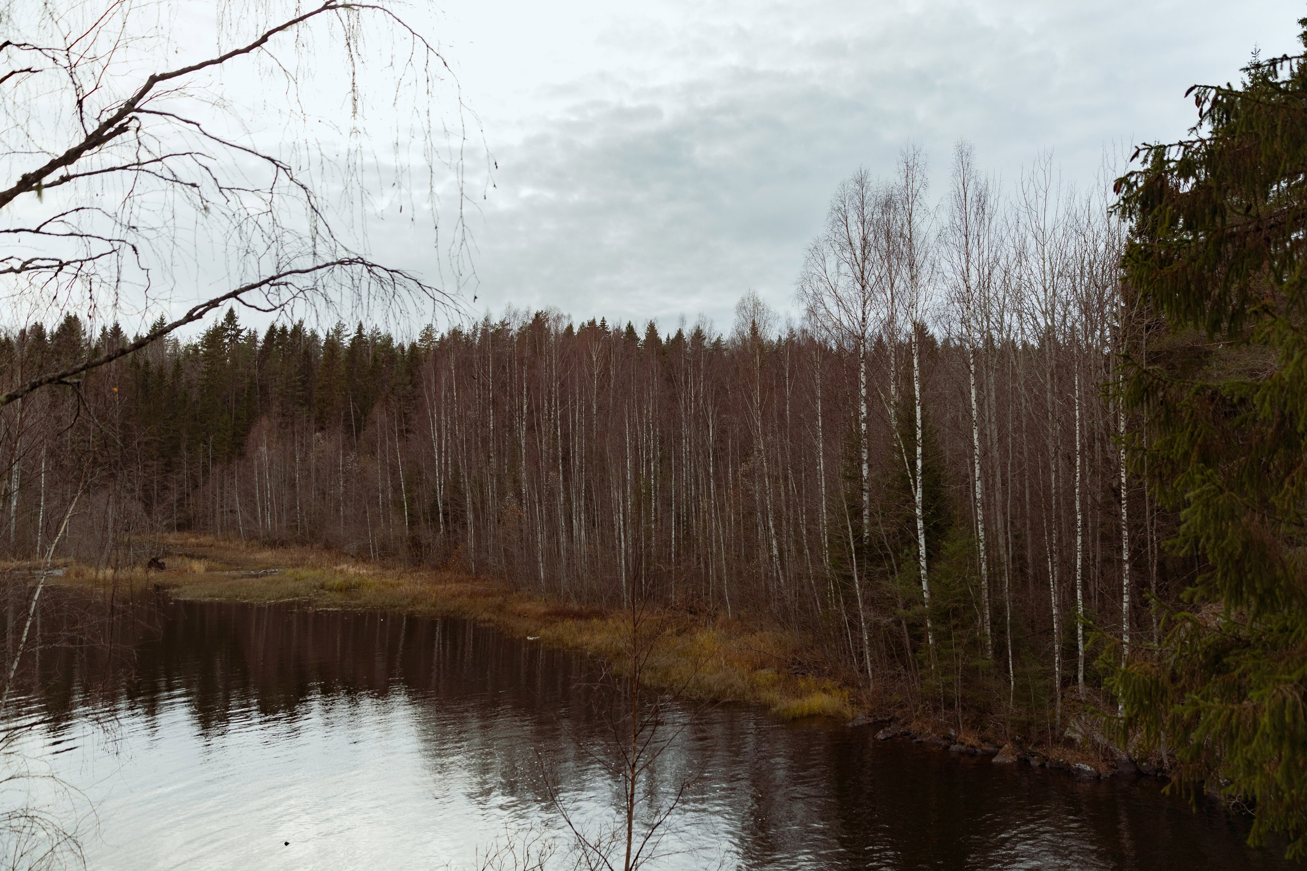 Большое путешествие в Карелию на машине. Марина Захарова — Фотограф. Москва / Marina Zakharova — Photographer
