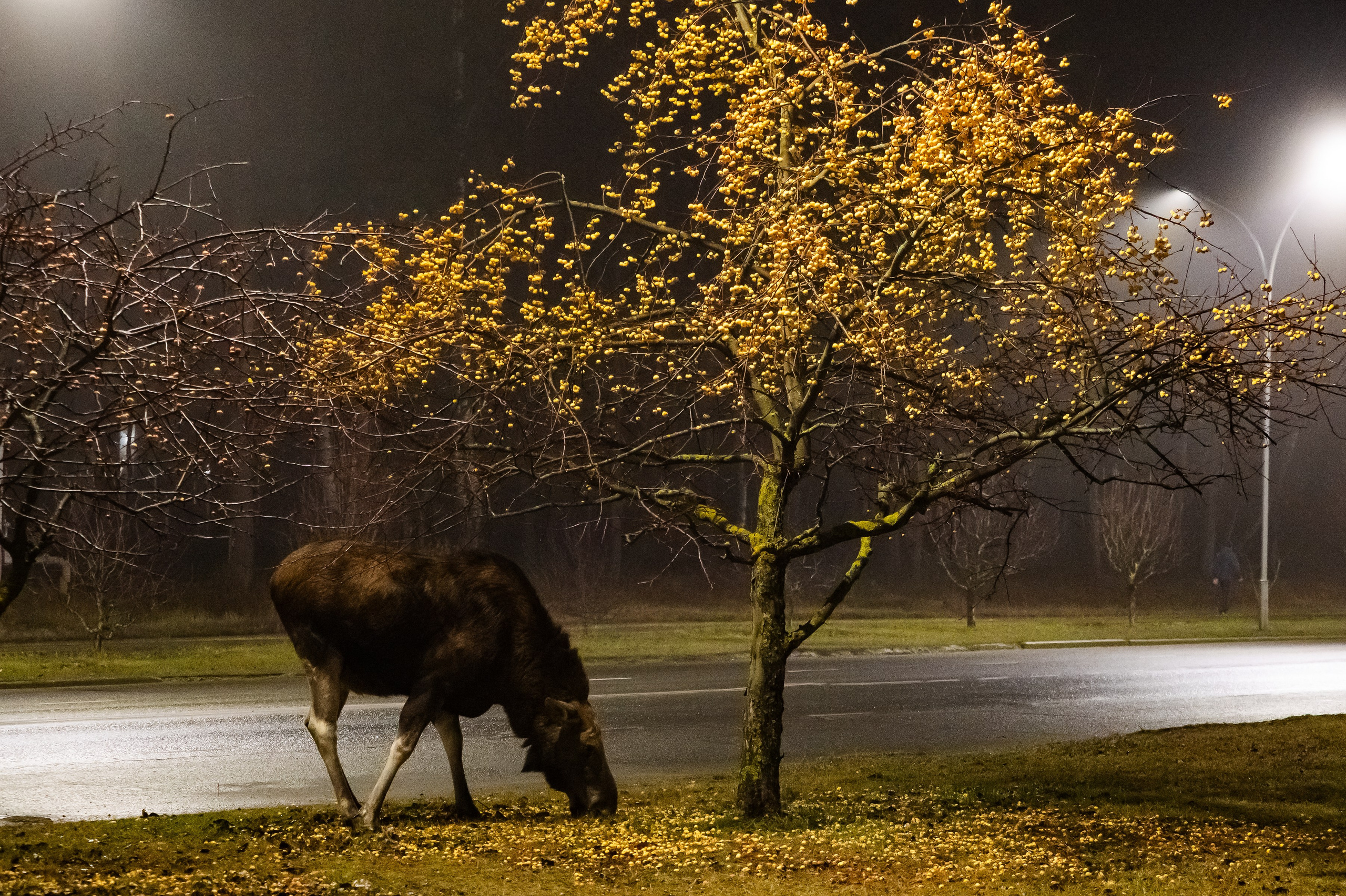 Красота Заречного. Репортажный, семейный и детский фотограф в Пензе и Заречном Арина Ермилова. Картины барельеф на заказ