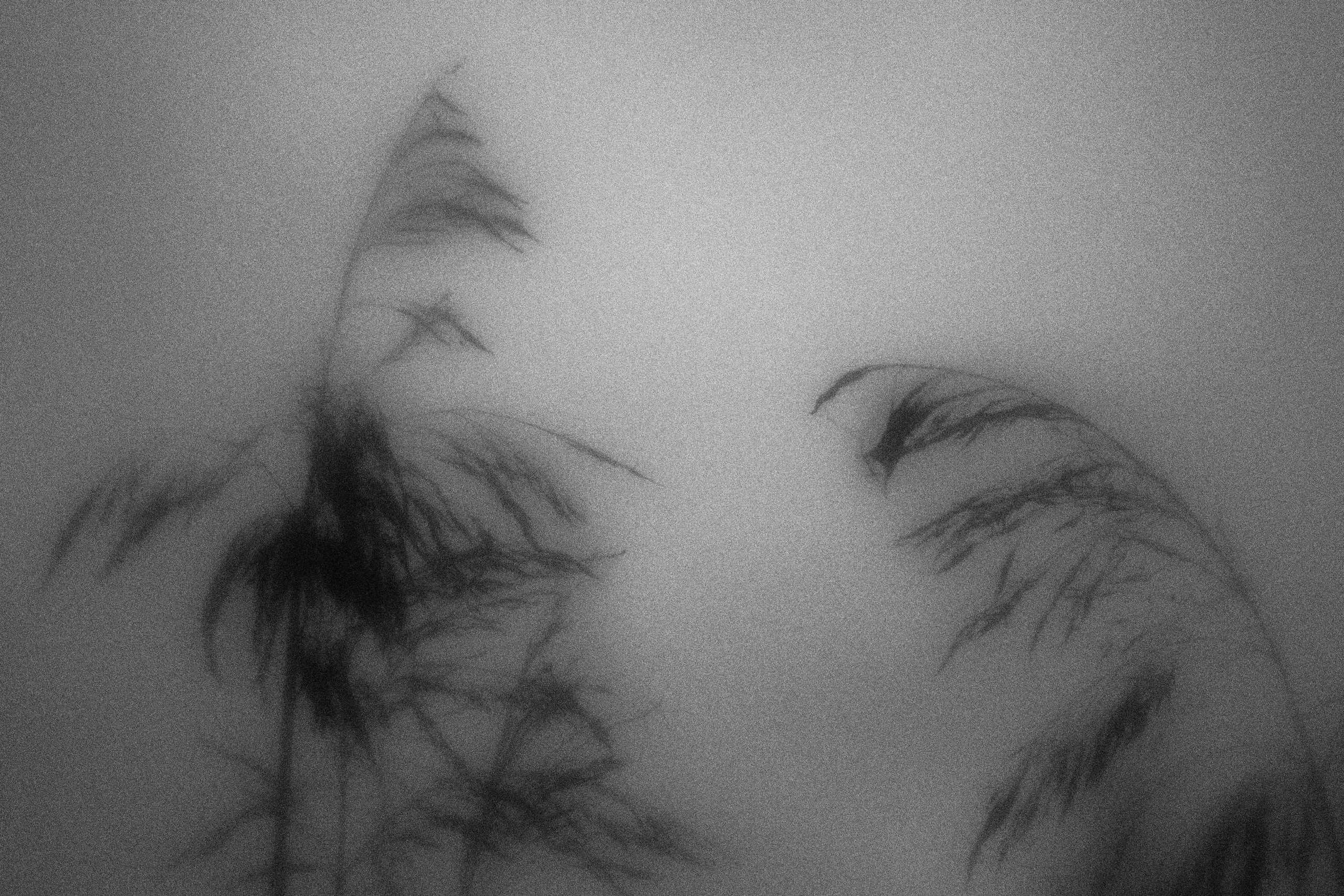 Внутривенные сны (2023)