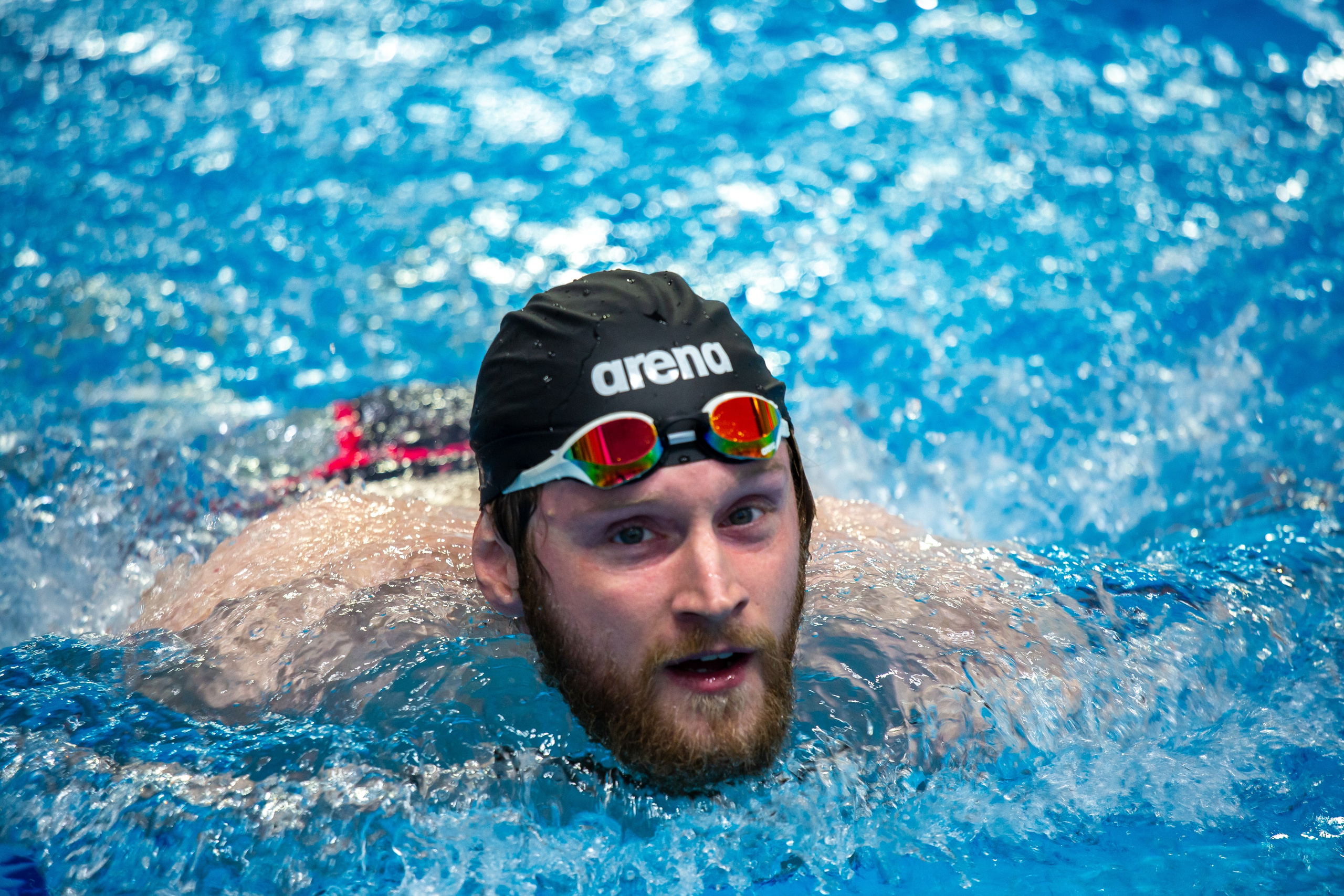 Турнир по плаванию. Репортажный, семейный, свадебный, портретный фотограф