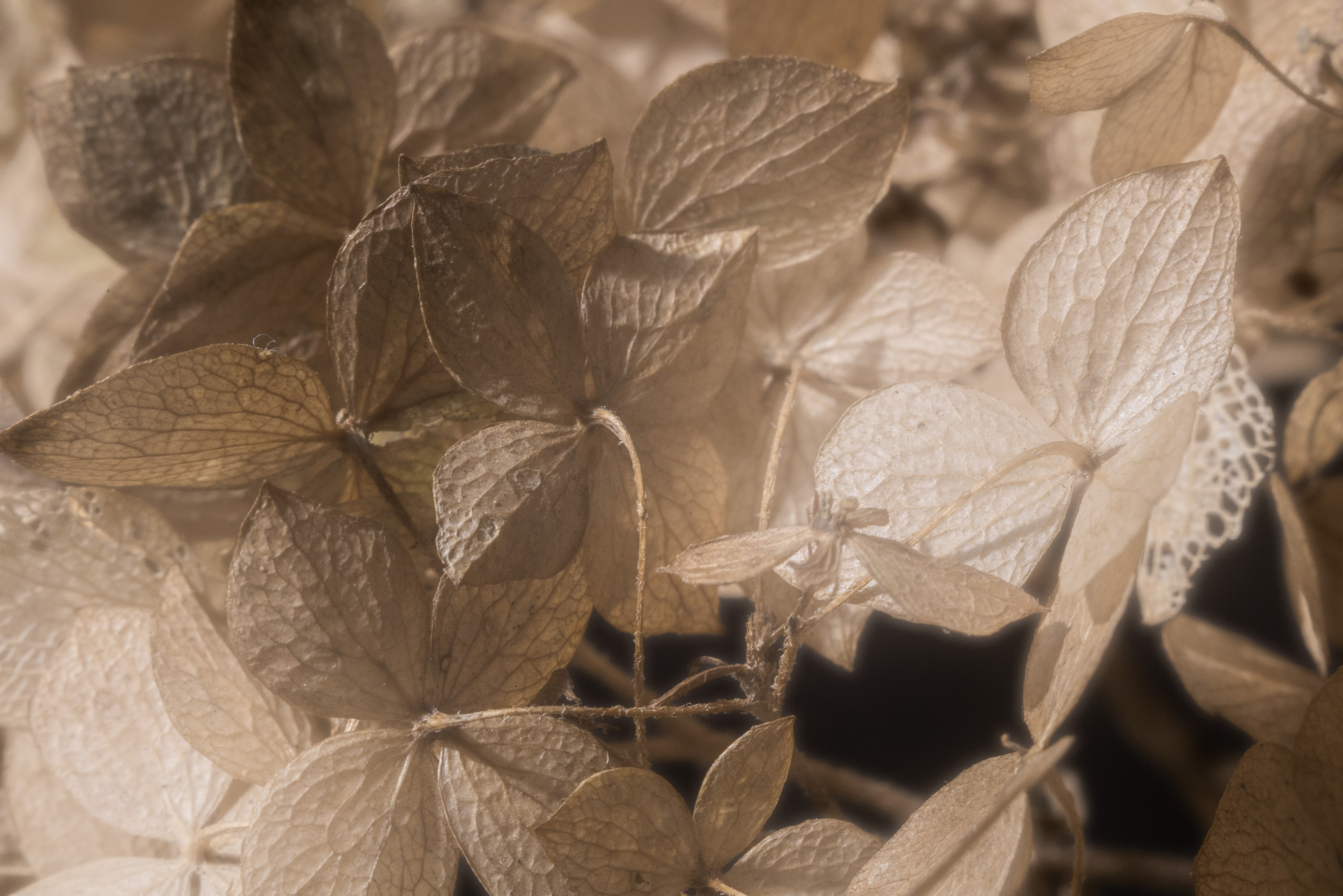 Фотограф Алексей Куликов в Ярославле