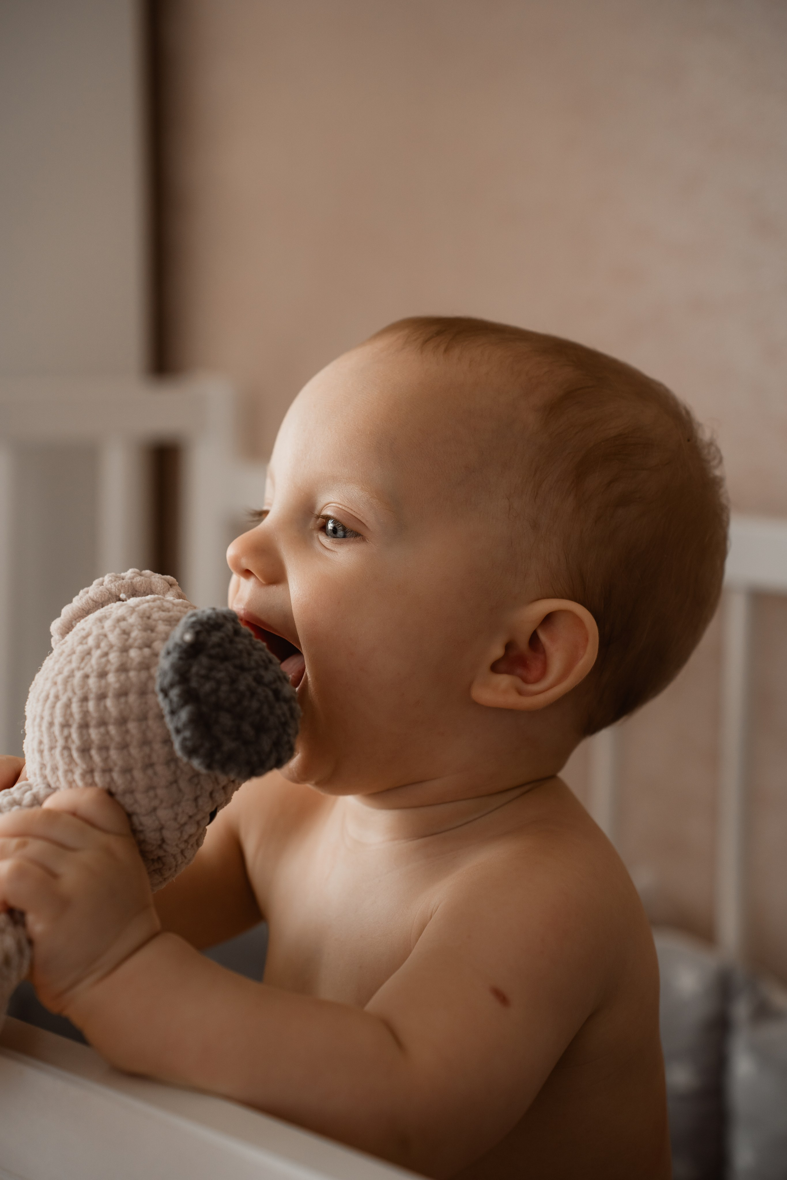 Герман, Катя и Мирон. Семейный фотограф в Рязани Харламова Влада