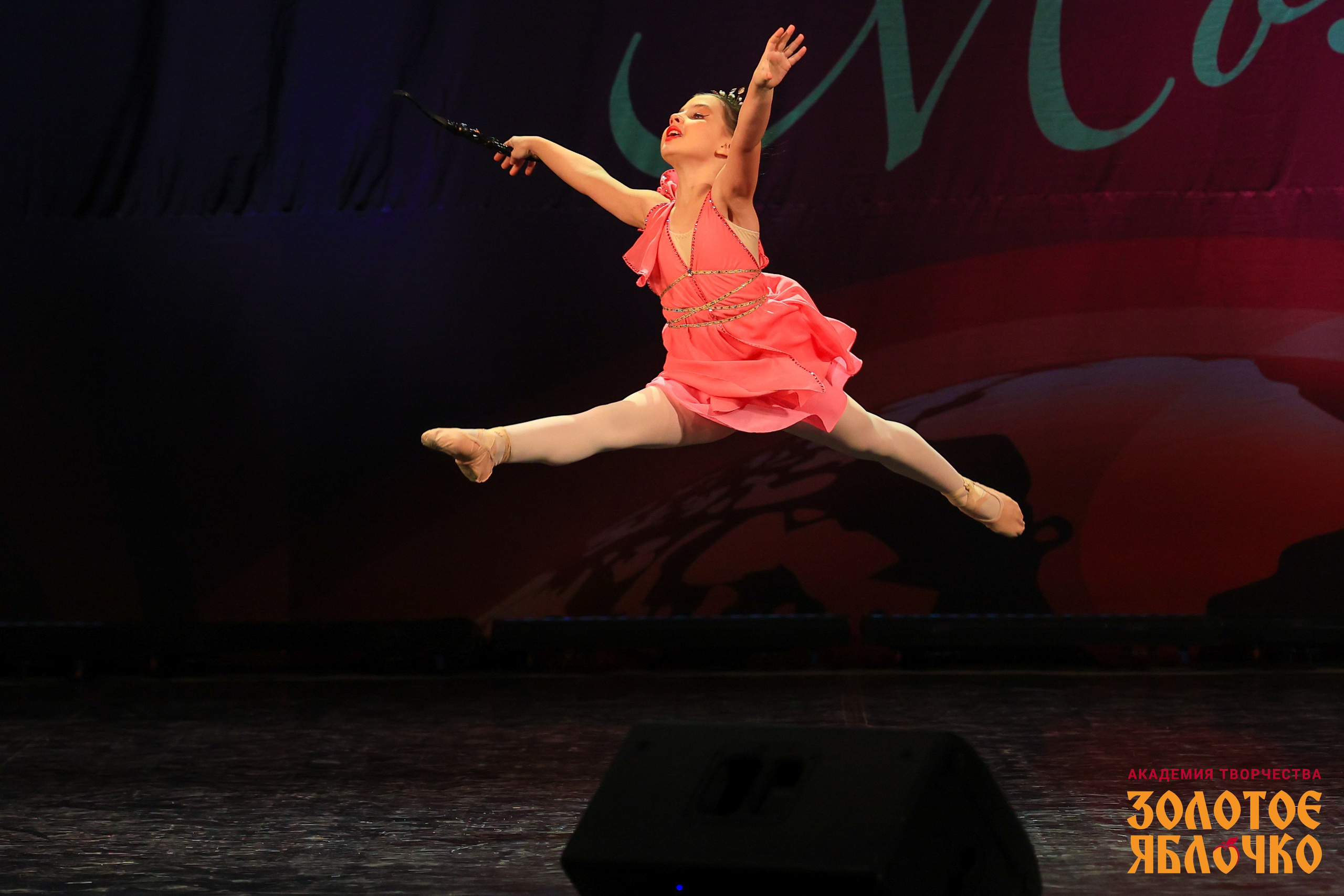 7 февраля, г. Петрозаводск. Золотое яблочко