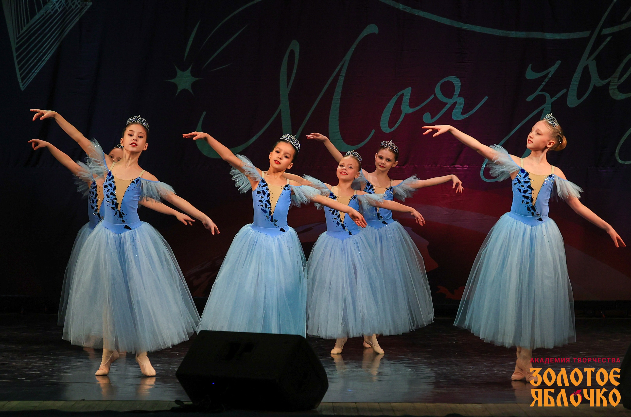 7 февраля, г. Петрозаводск. Золотое яблочко