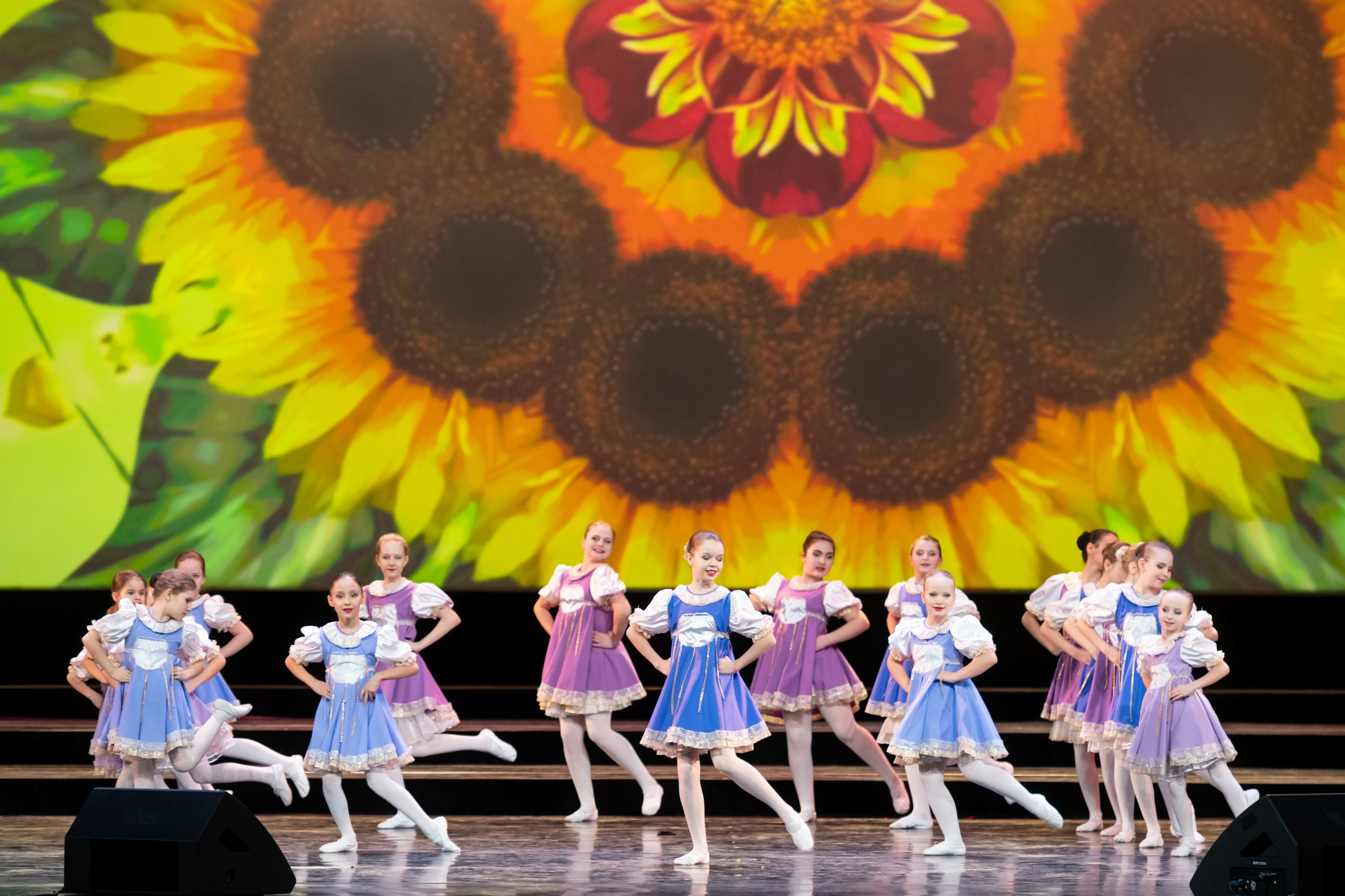 2 февраля, концерт Таланты России, Кремлевский Дворец. Золотое яблочко