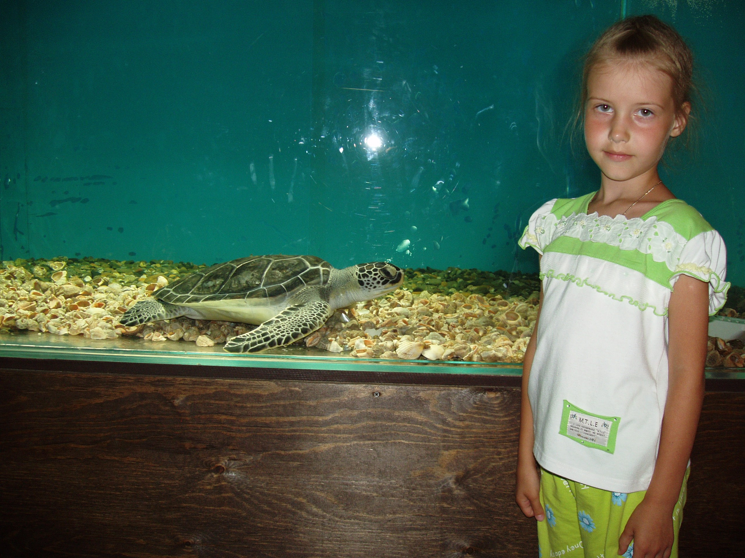 Отпуск 13.07-24.08. Семейный, Свадебный фотограф СПБ Питер— Романова Екатерина