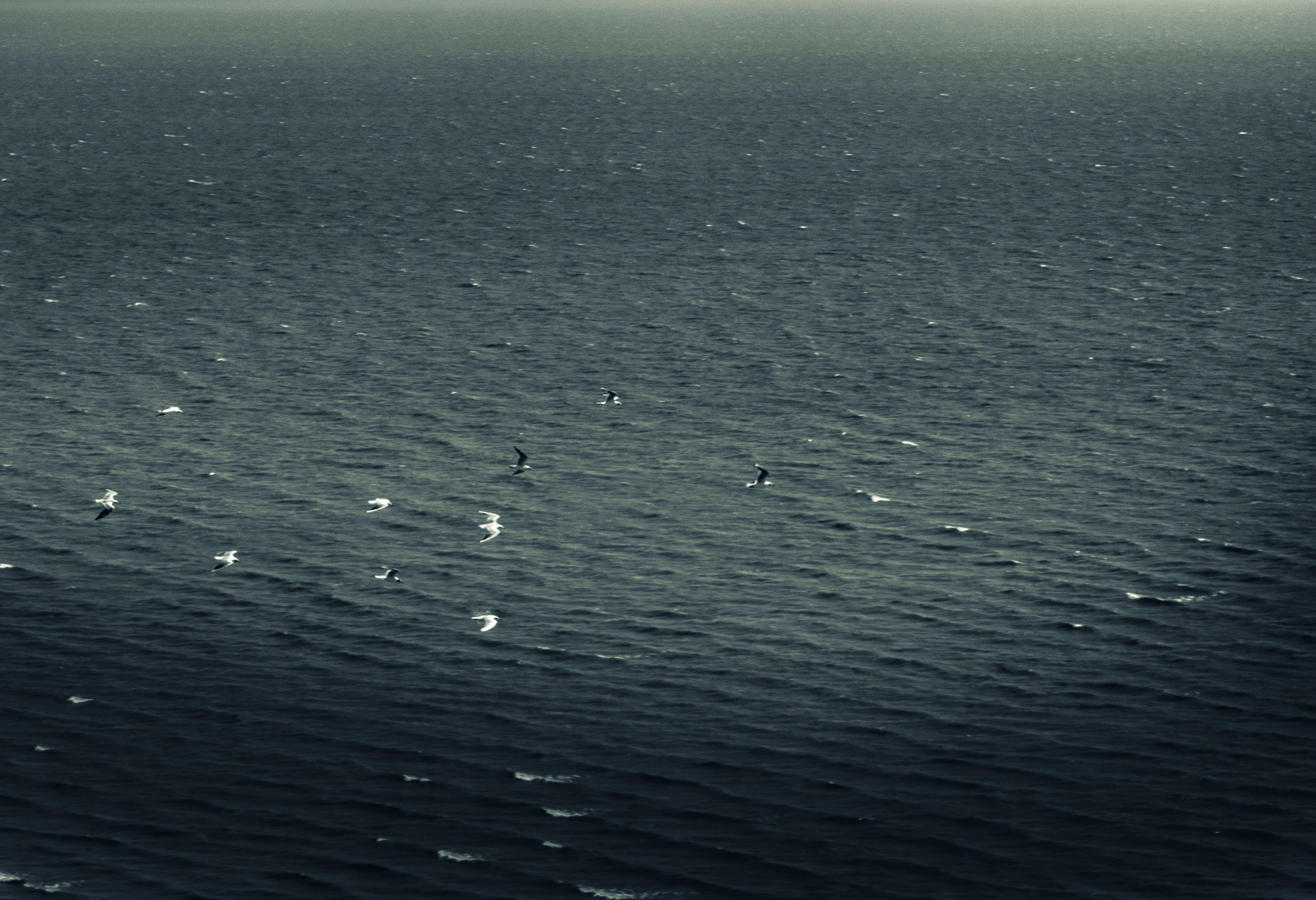 Form. Коллекция