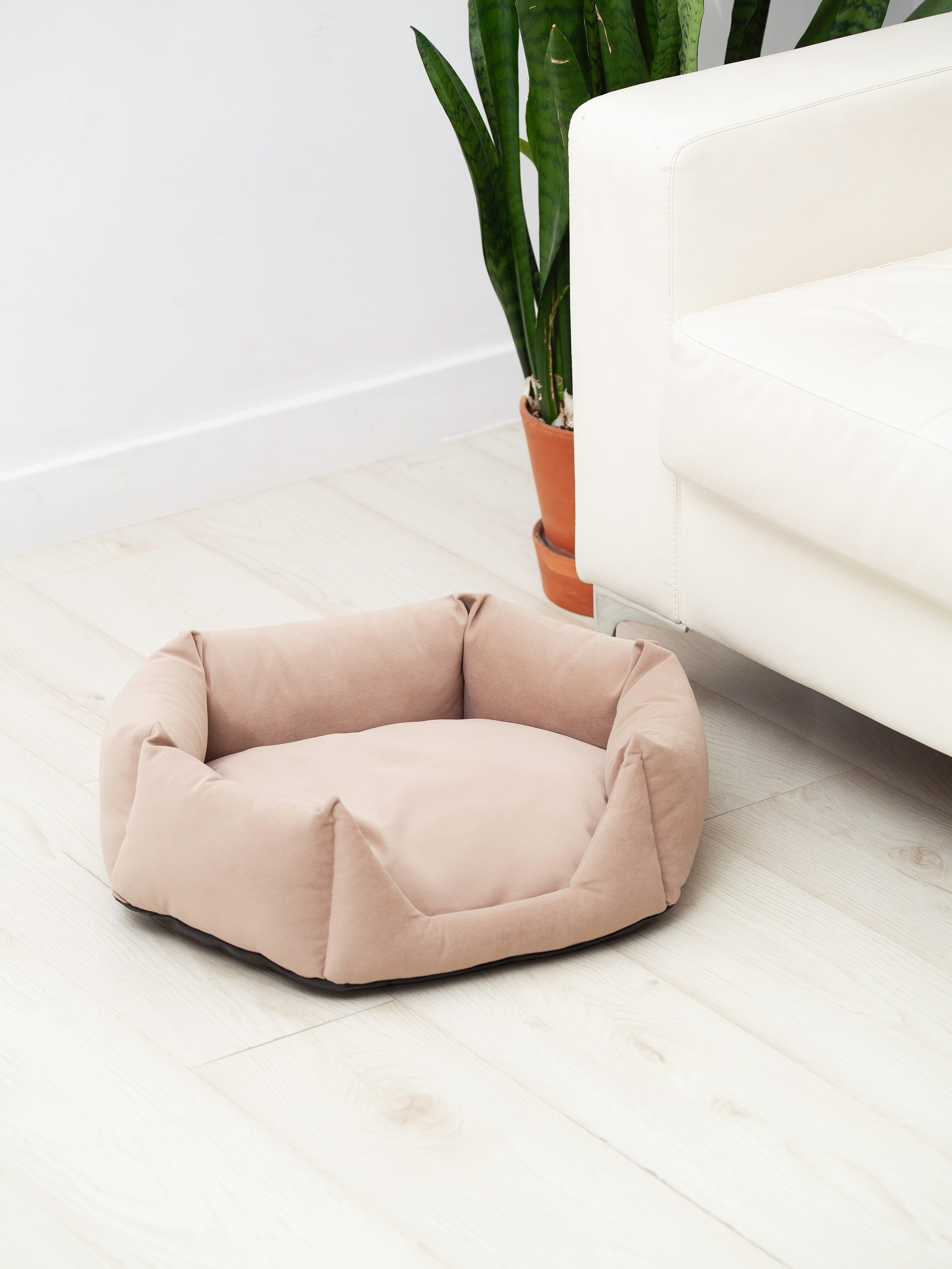 Юлия Василенко, Предметный фотограф Барнаул, бьюти съемка ,съемка крема, косметика, фото для бренда в Барнауле, фото для маркетплейсов, съёмка для упаковки, фото упаковка, прайс на предметную фотосъемку, фотосъемка для производителя, предметная съемка