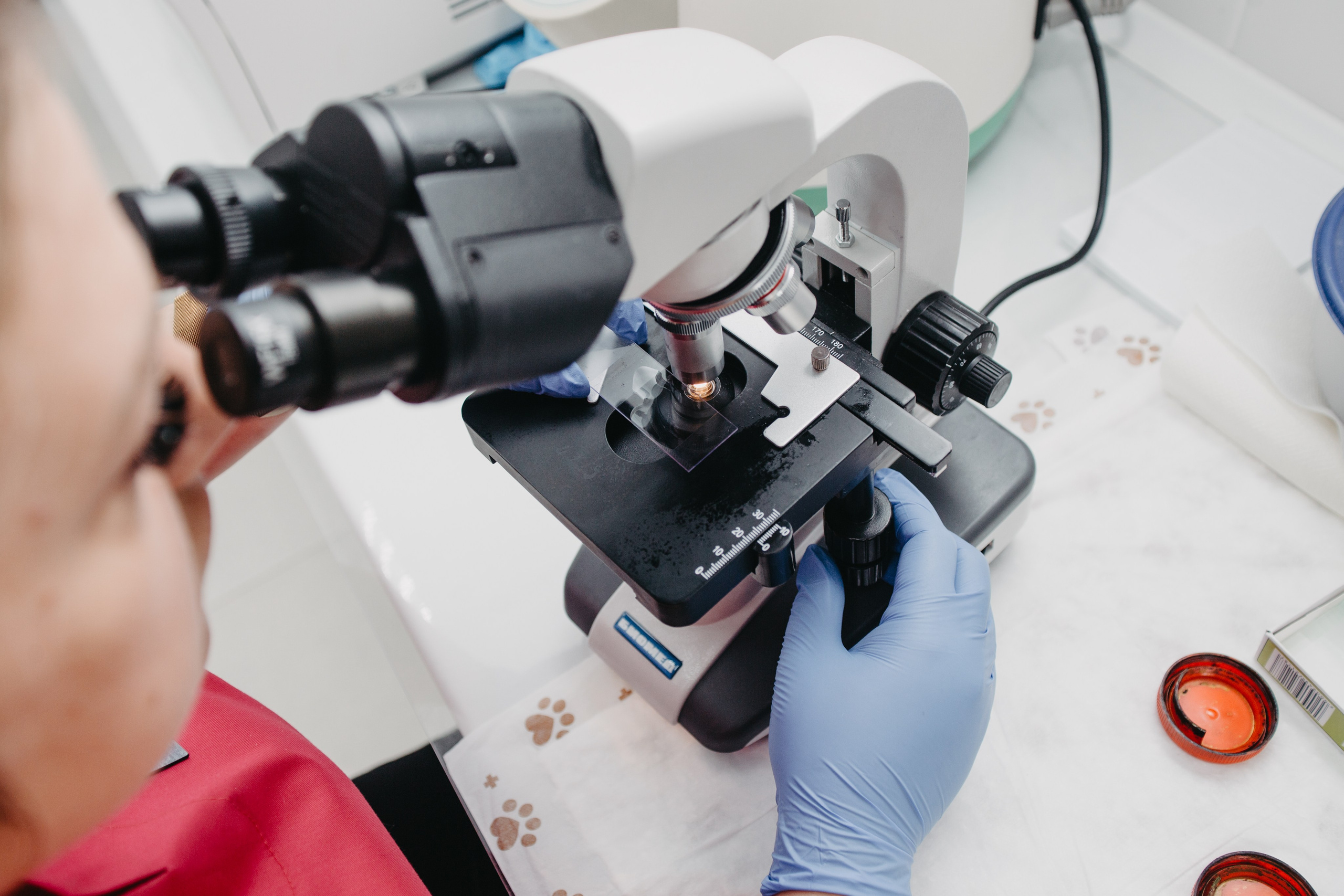 Предметка, каталог, реклама. Анна Оранжевая — фотограф | съёмки про жизнь, состояние и настоящие эмоции