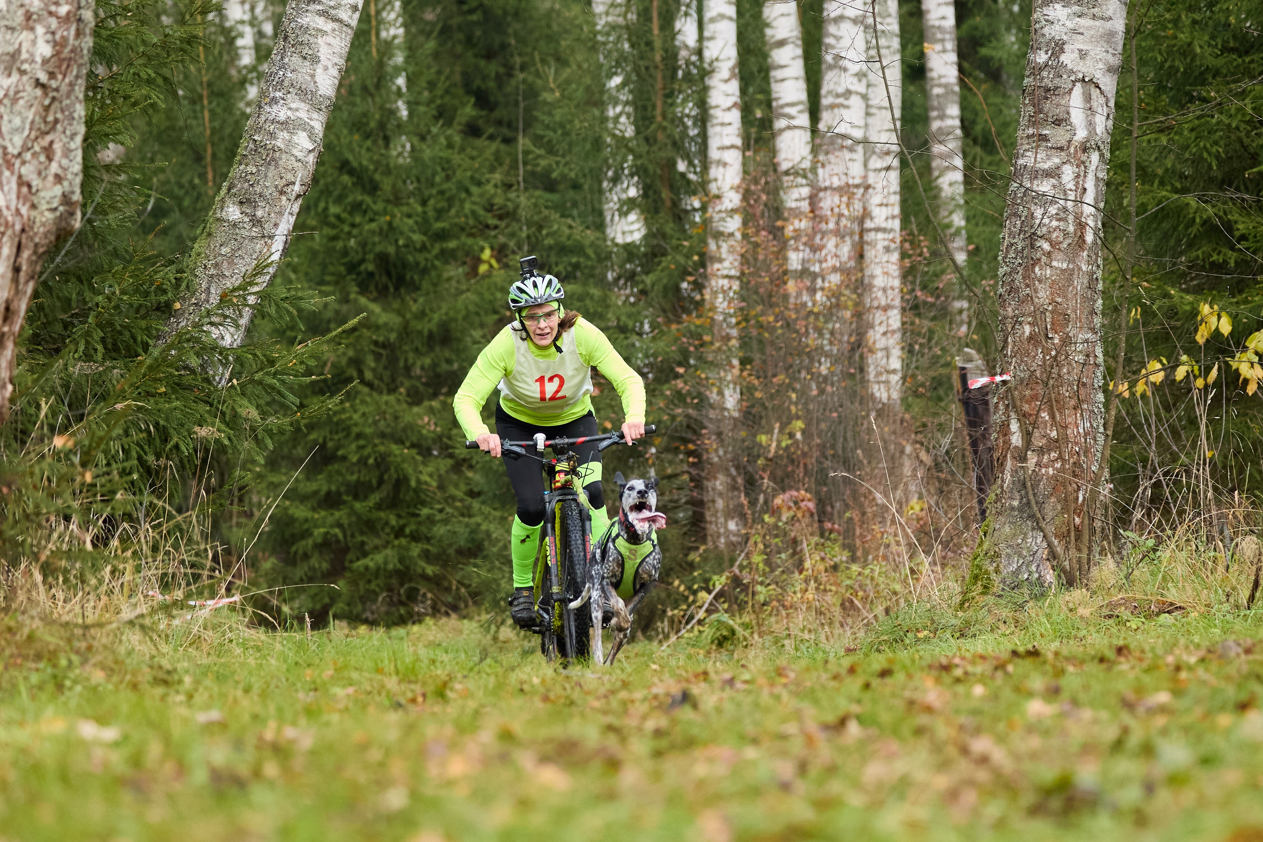 Чемпионат по ЕС Ярославской области. Фотограф Ирина Астор