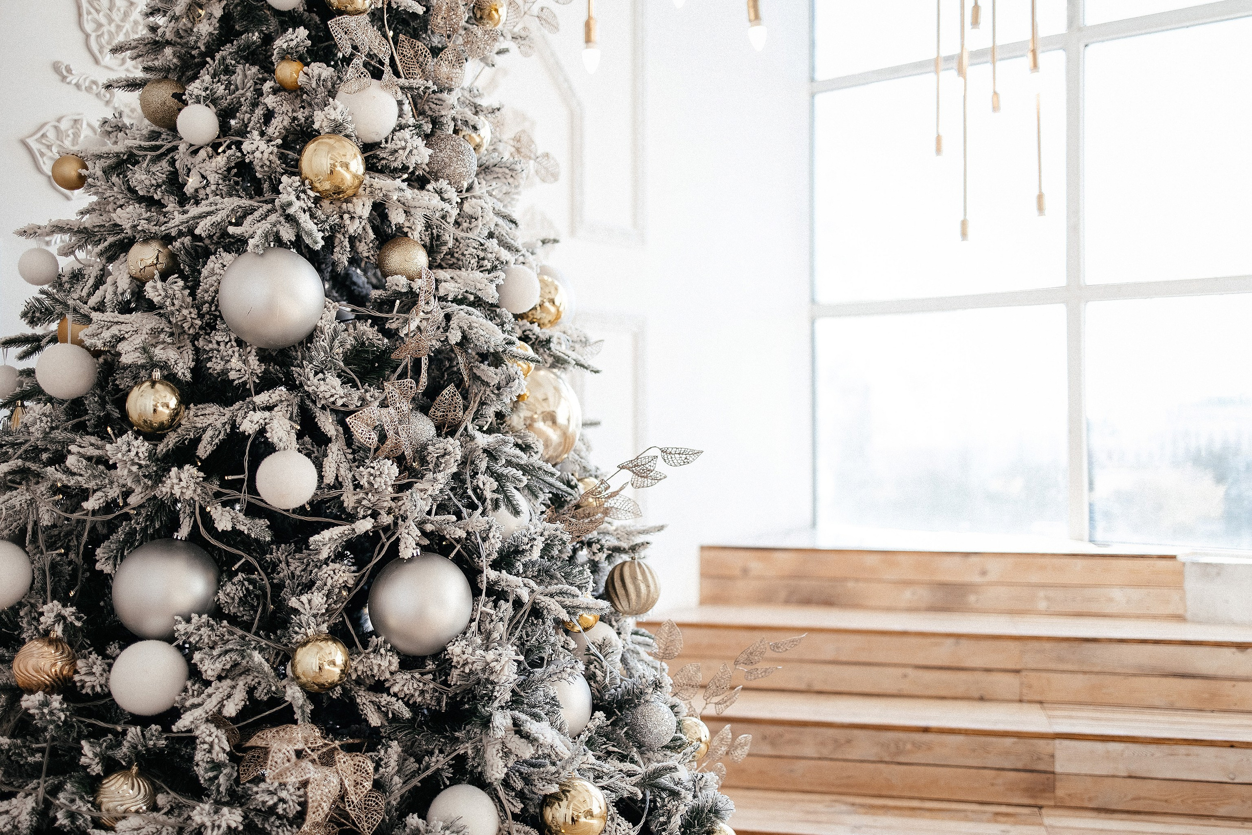 Ю. Фотограф г. Хабаровск. Семейные и индивидуальные съёмки