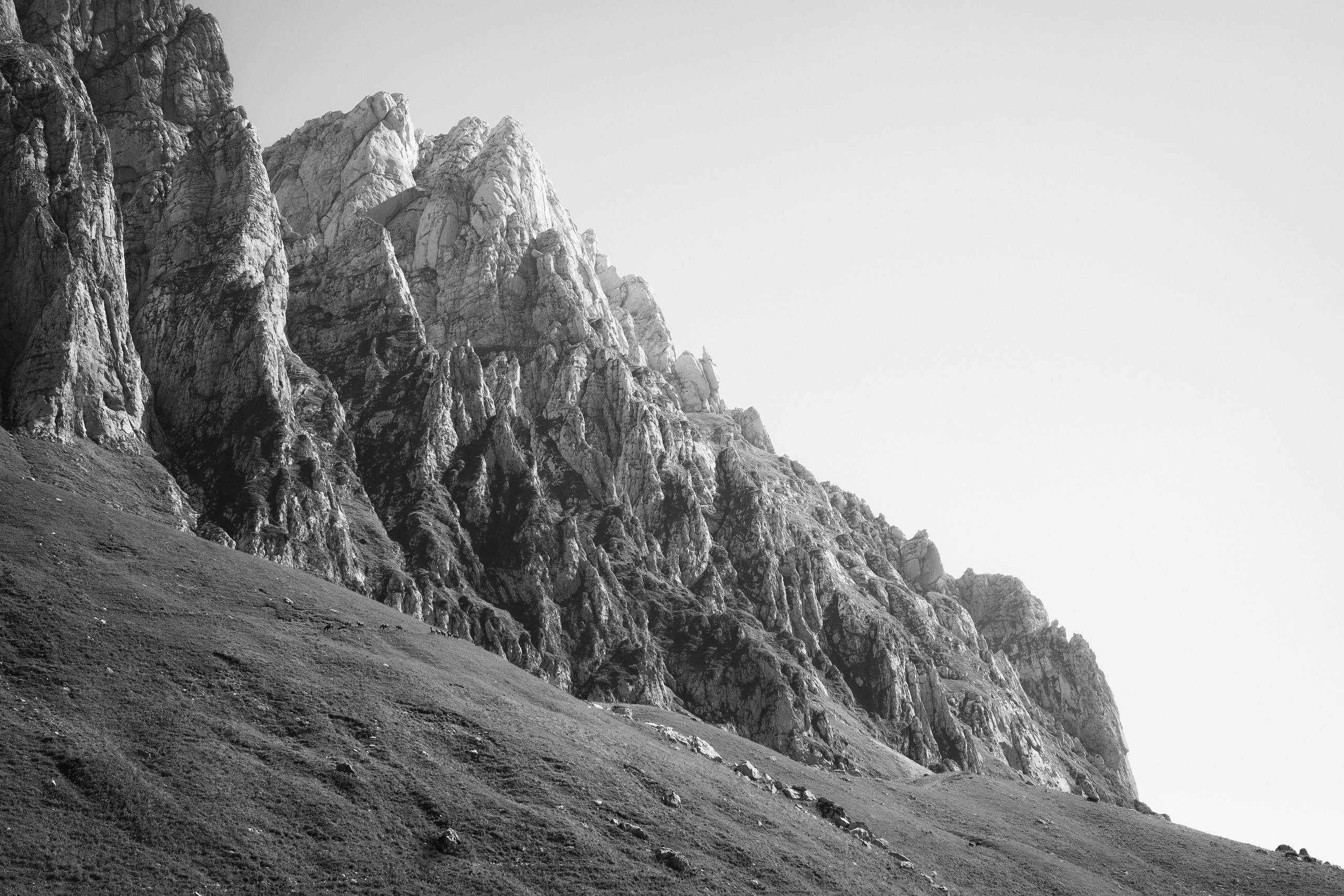 Тридцатка | август 2023