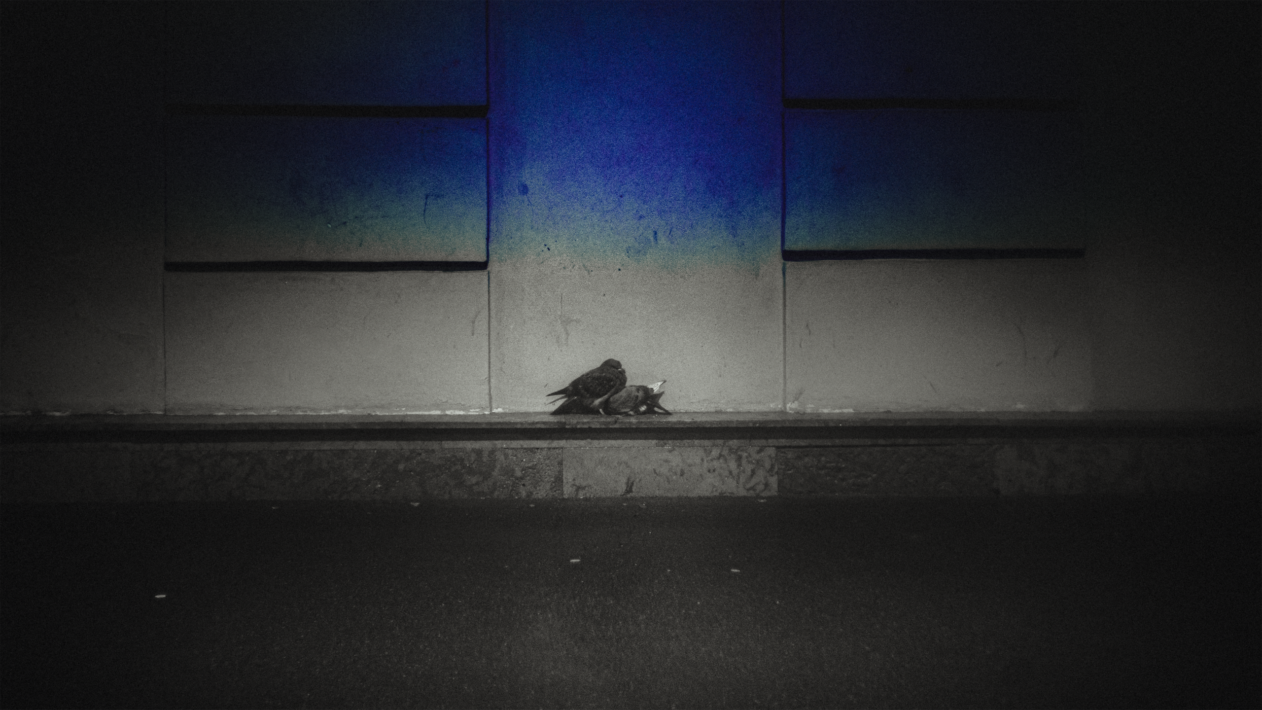 Gallery / Галерея. Кир Анисин. Режиссер & фотограф