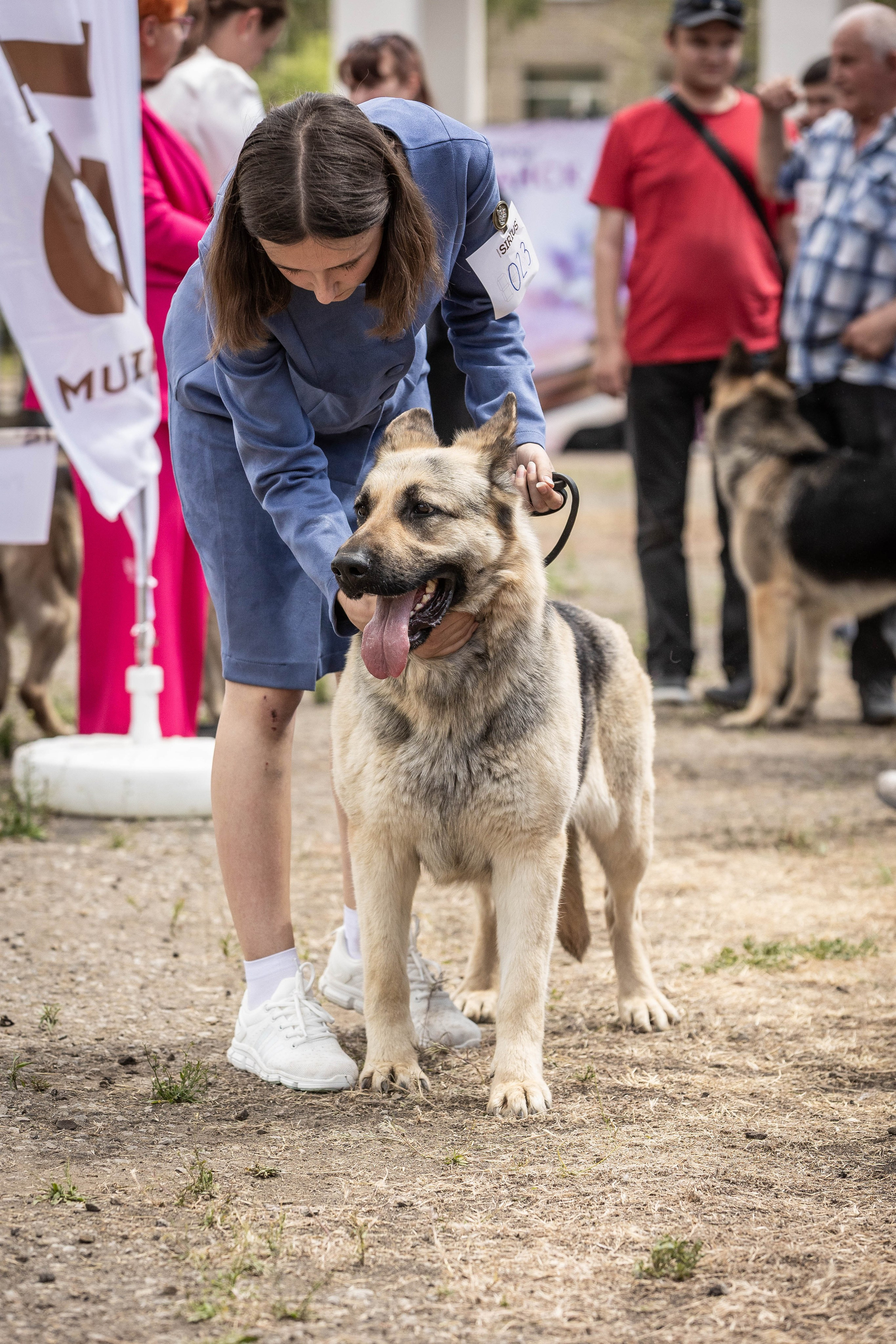 Репортаж (фото с выставок). Фотограф-АниМалист Анна Абрамова