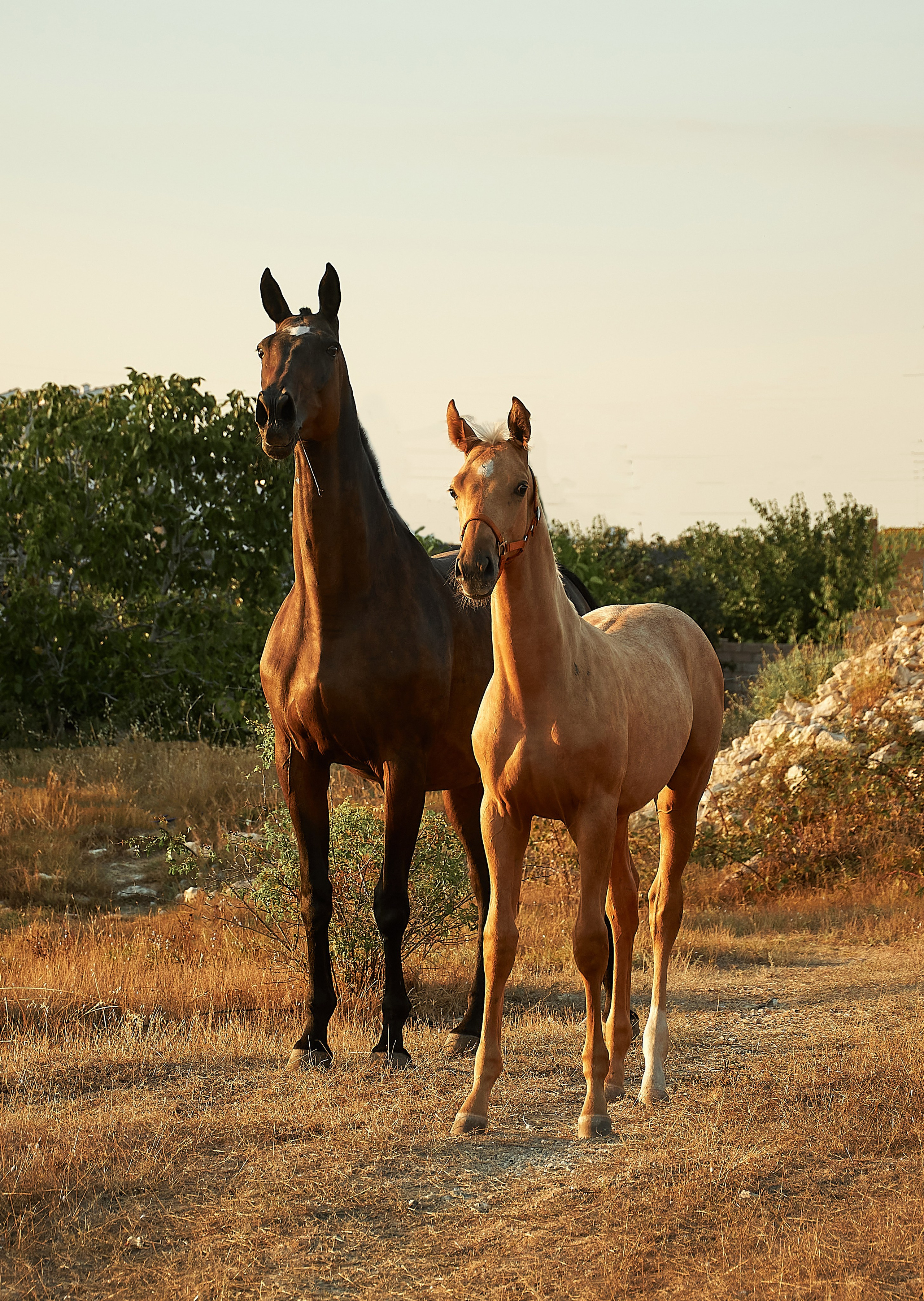 Чако-Эль. Фотограф в Севастополе