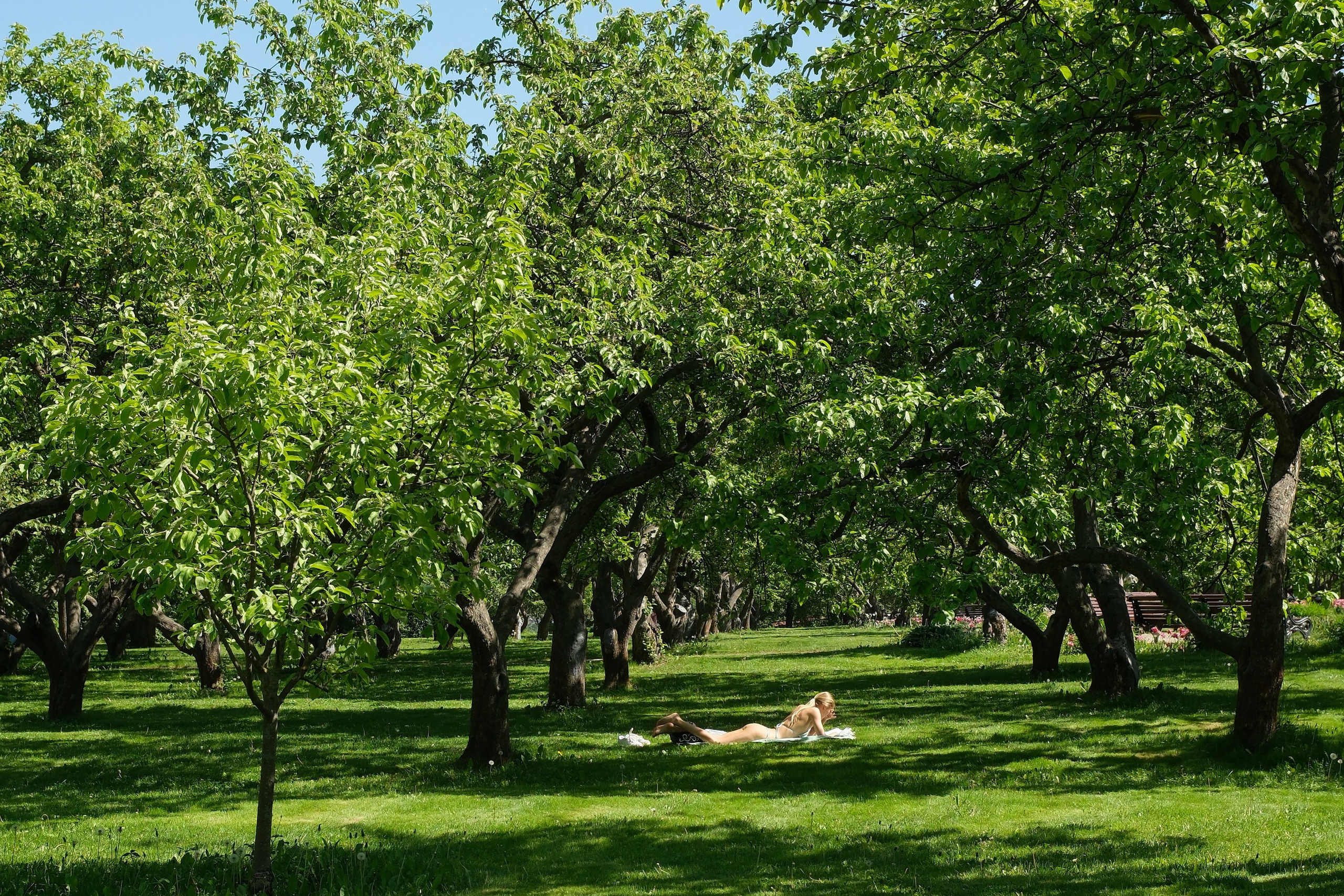 Коломенское 2024. Улица, люди, жизнь…