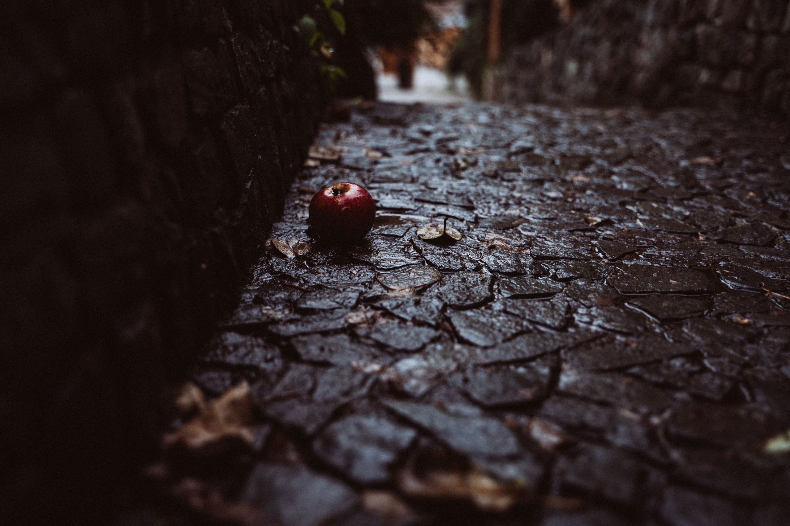 Pavel — Jule. Elopement Wedding Photographer