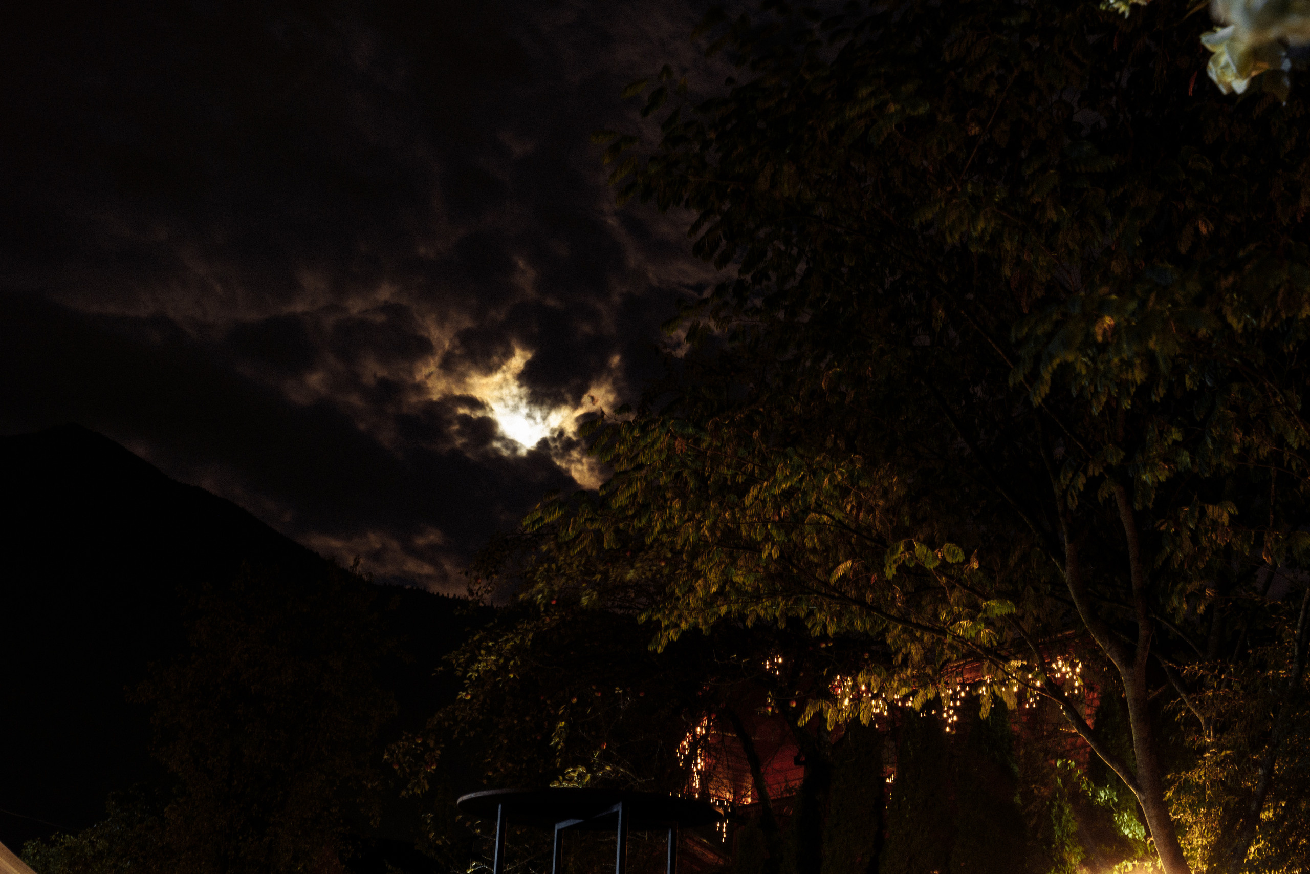 Pavel — Jule. Elopement Wedding Photographer