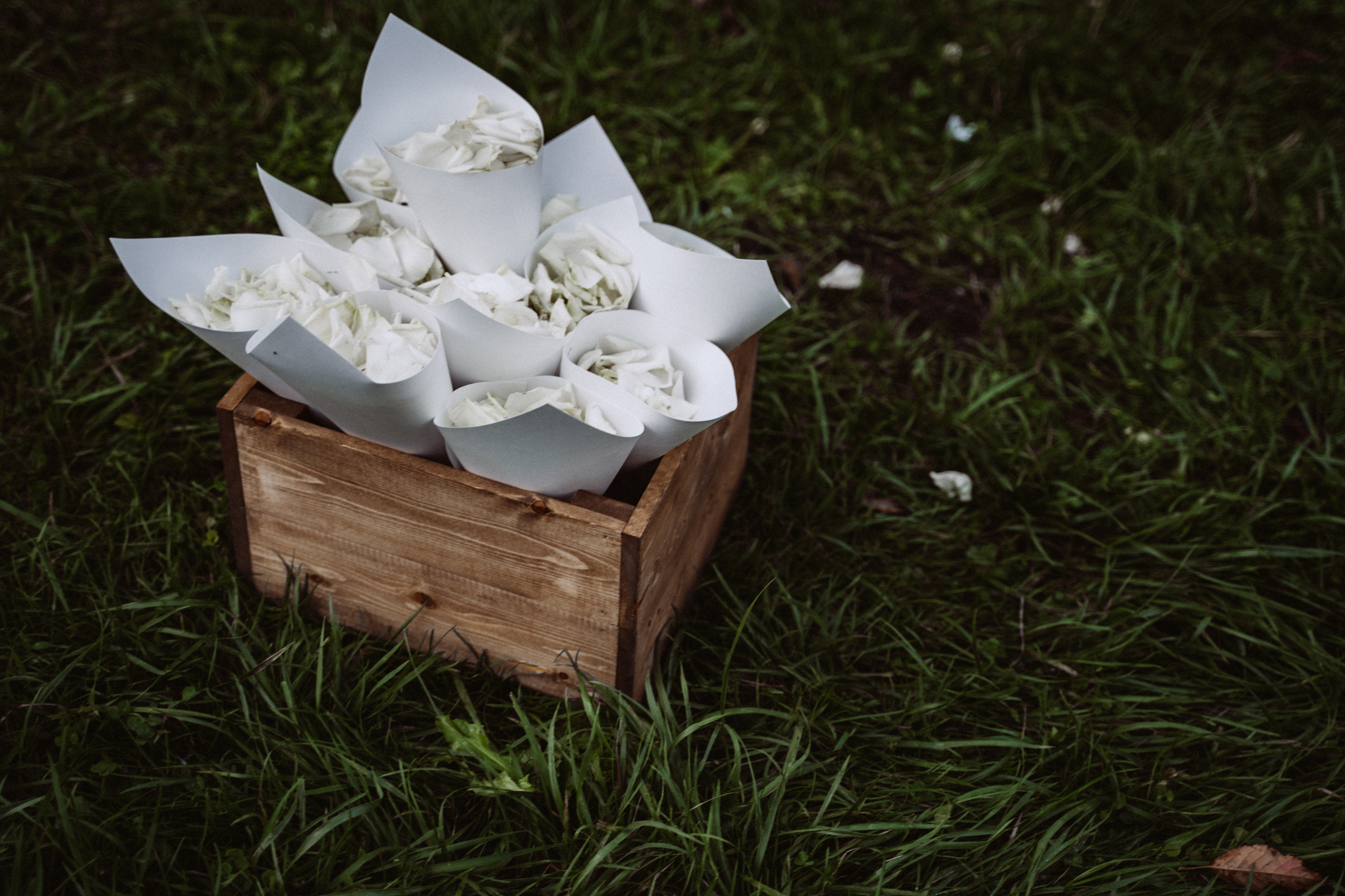 Pavel — Jule. Elopement Wedding Photographer