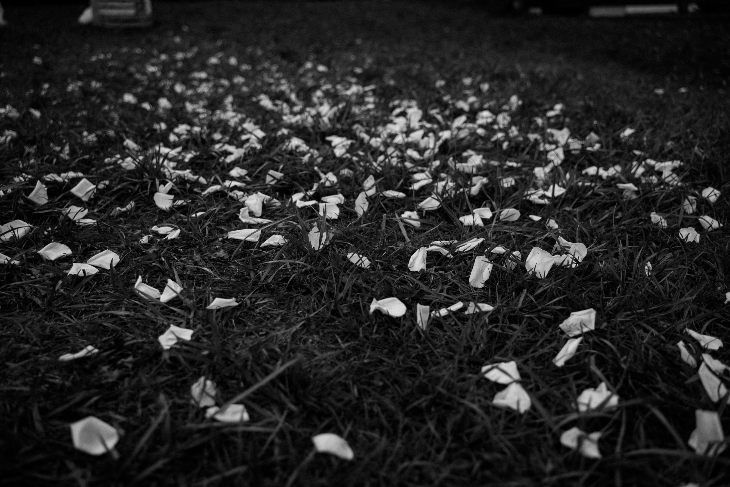 Pavel — Jule. Elopement Wedding Photographer