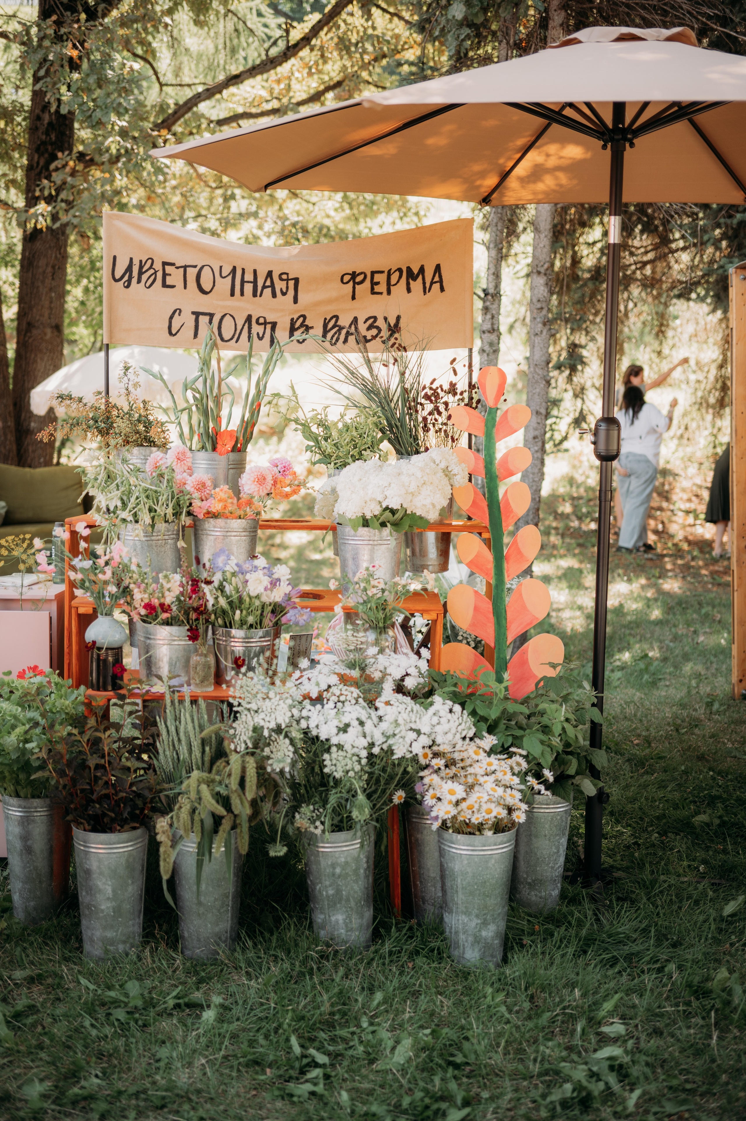 Botanica. Фотограф Нижний Новгород Екатерина Кукленкова