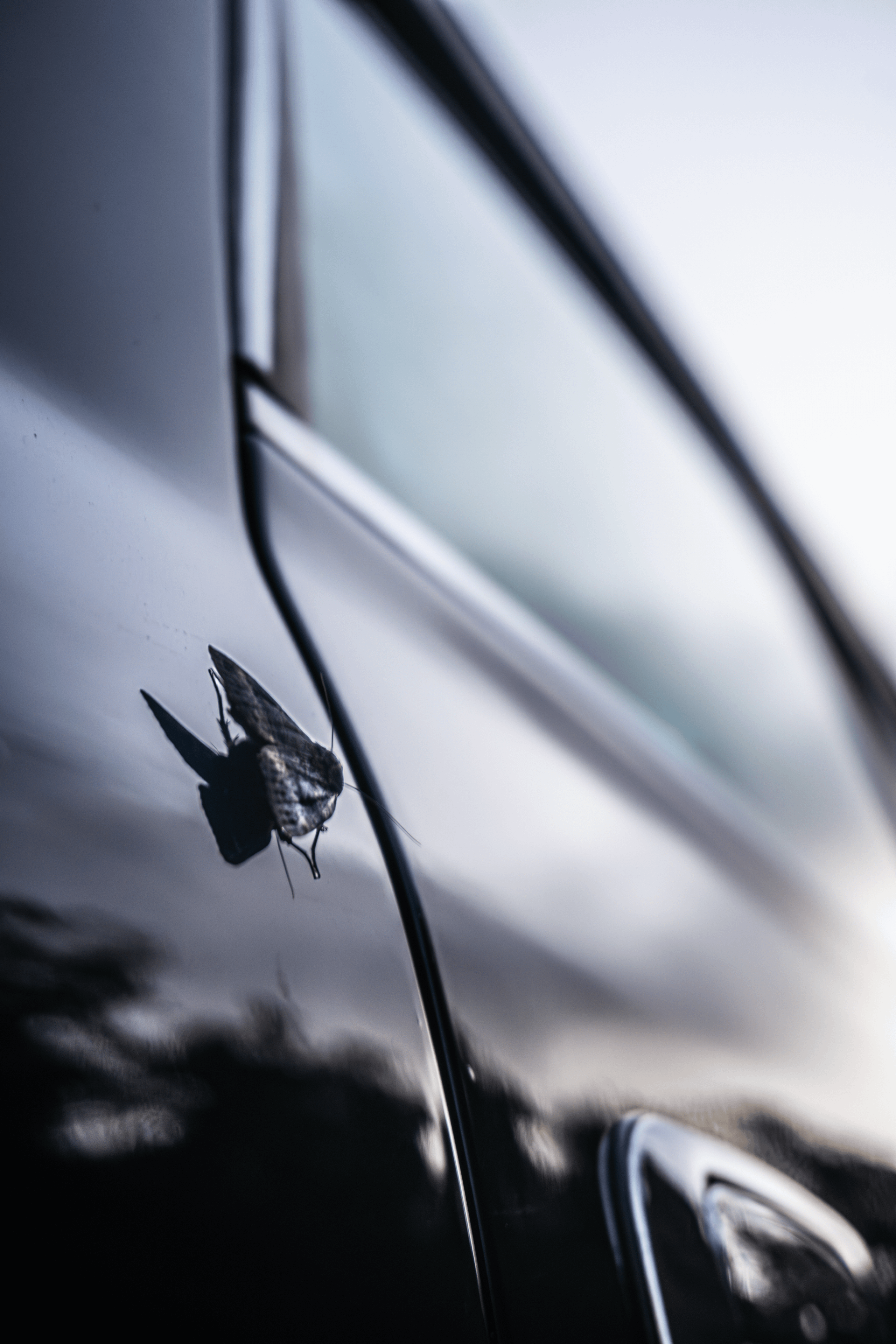 Toyota Crown S155: бриллиант в стенс-короне Владивостока