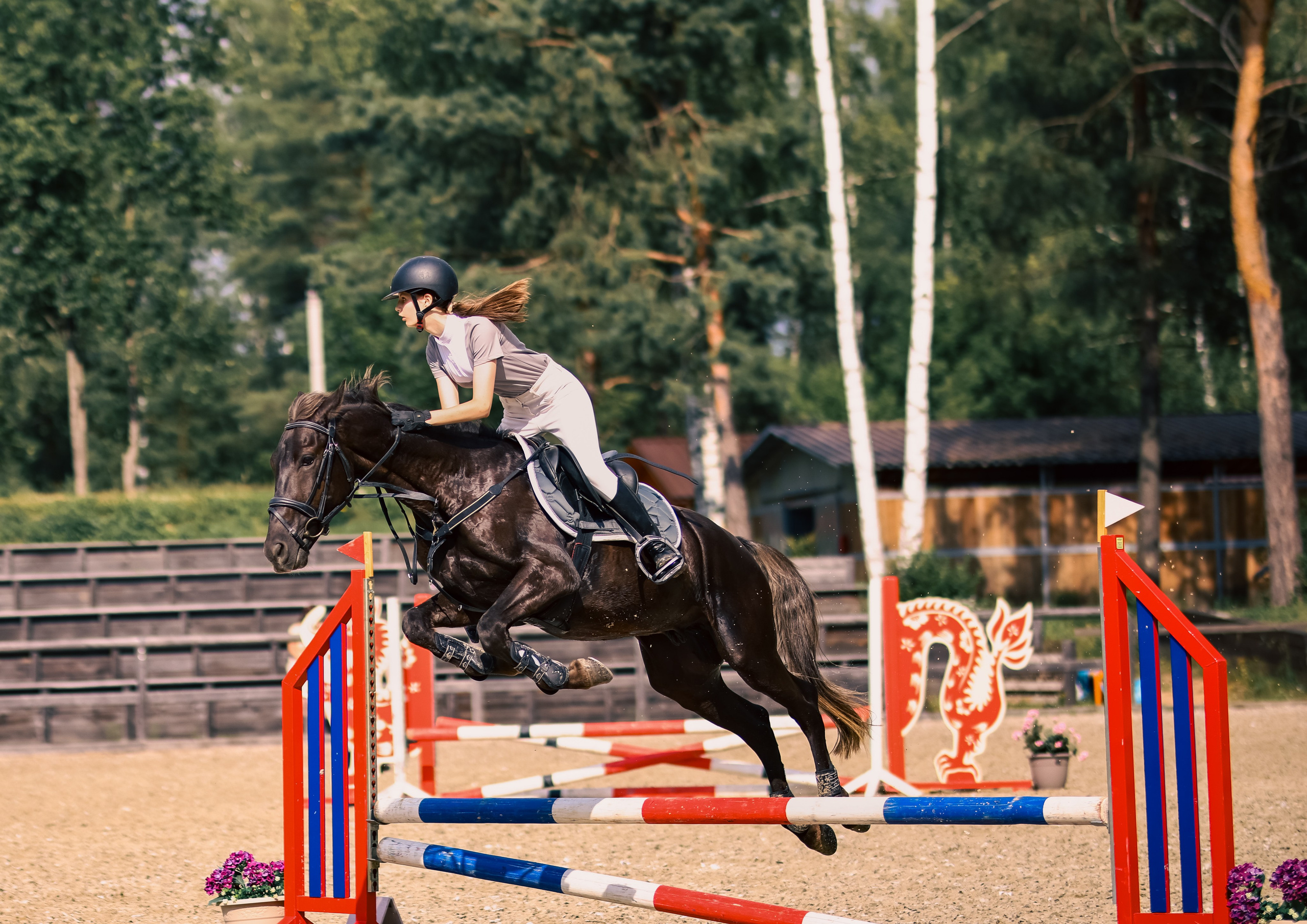 Лошади. Фотограф репортажей и стритфотосессий в Москве Людмила Смирнова