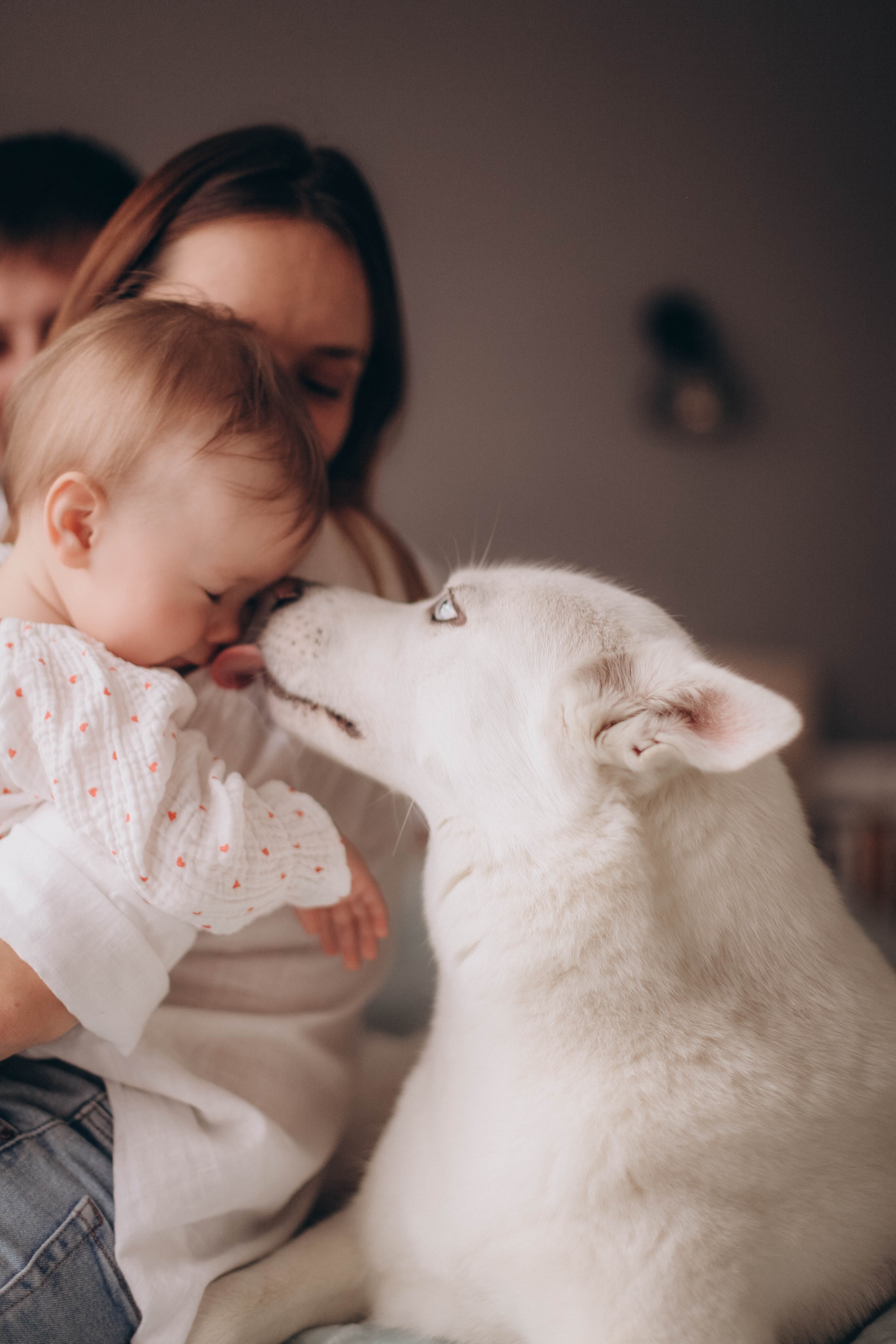 Лера. Семейная фотография в Санкт-Петербурге Елизавета Шепель