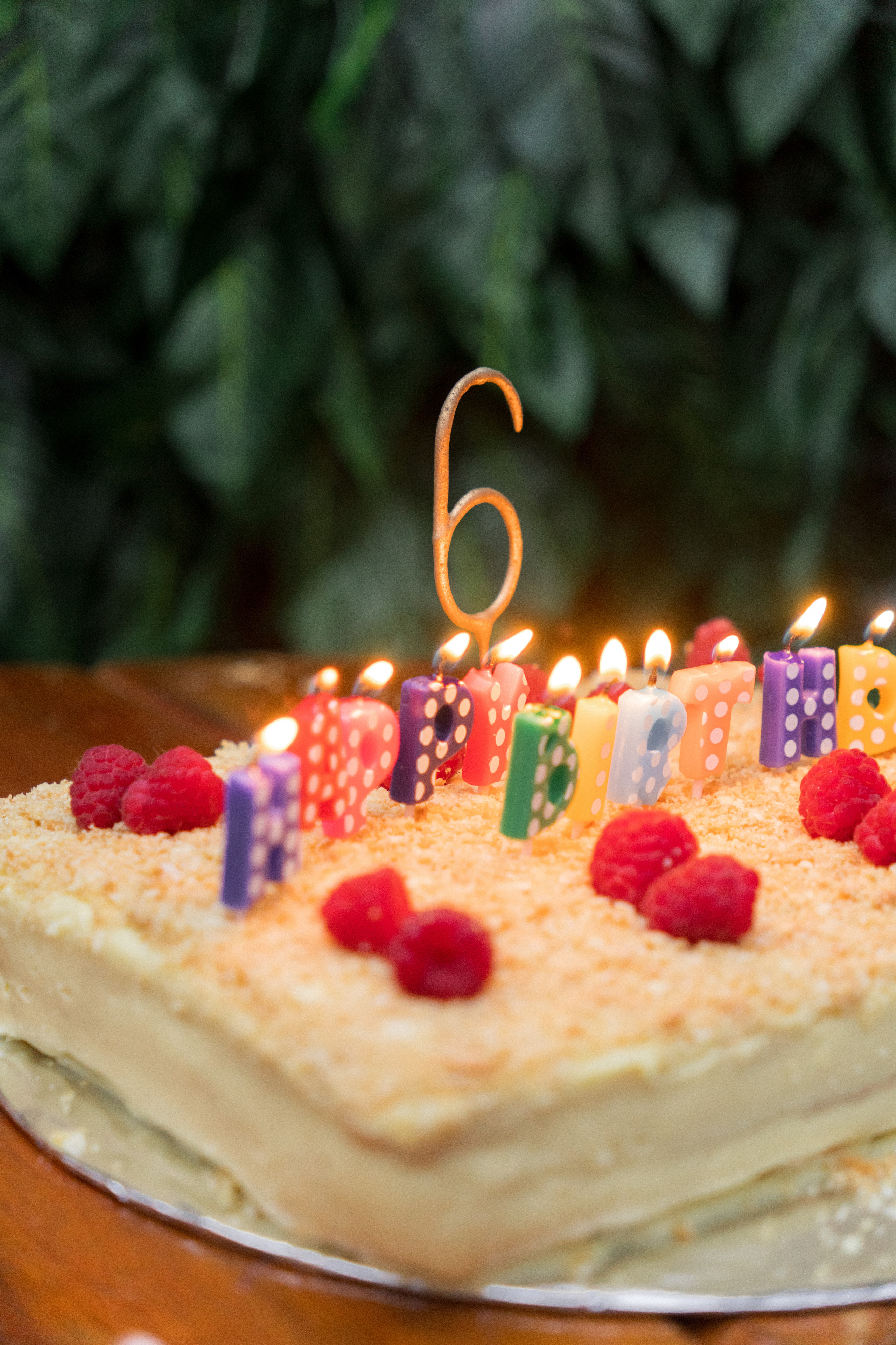 День Рождения Игната. Ольга Антипова — фотограф