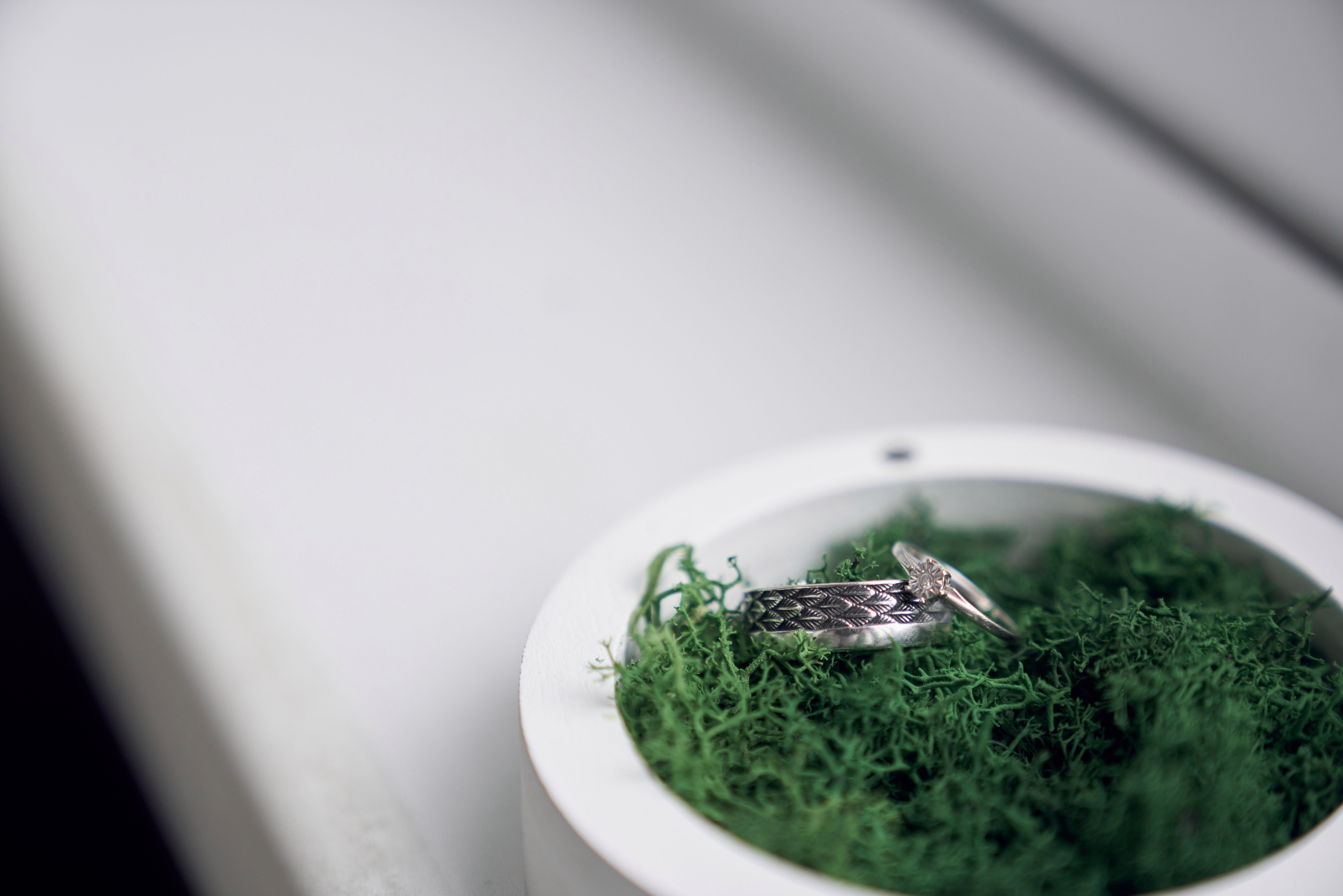 Свадьба Ильи и Влады, ЗАГС в Крокус, прогулка в Архангельское