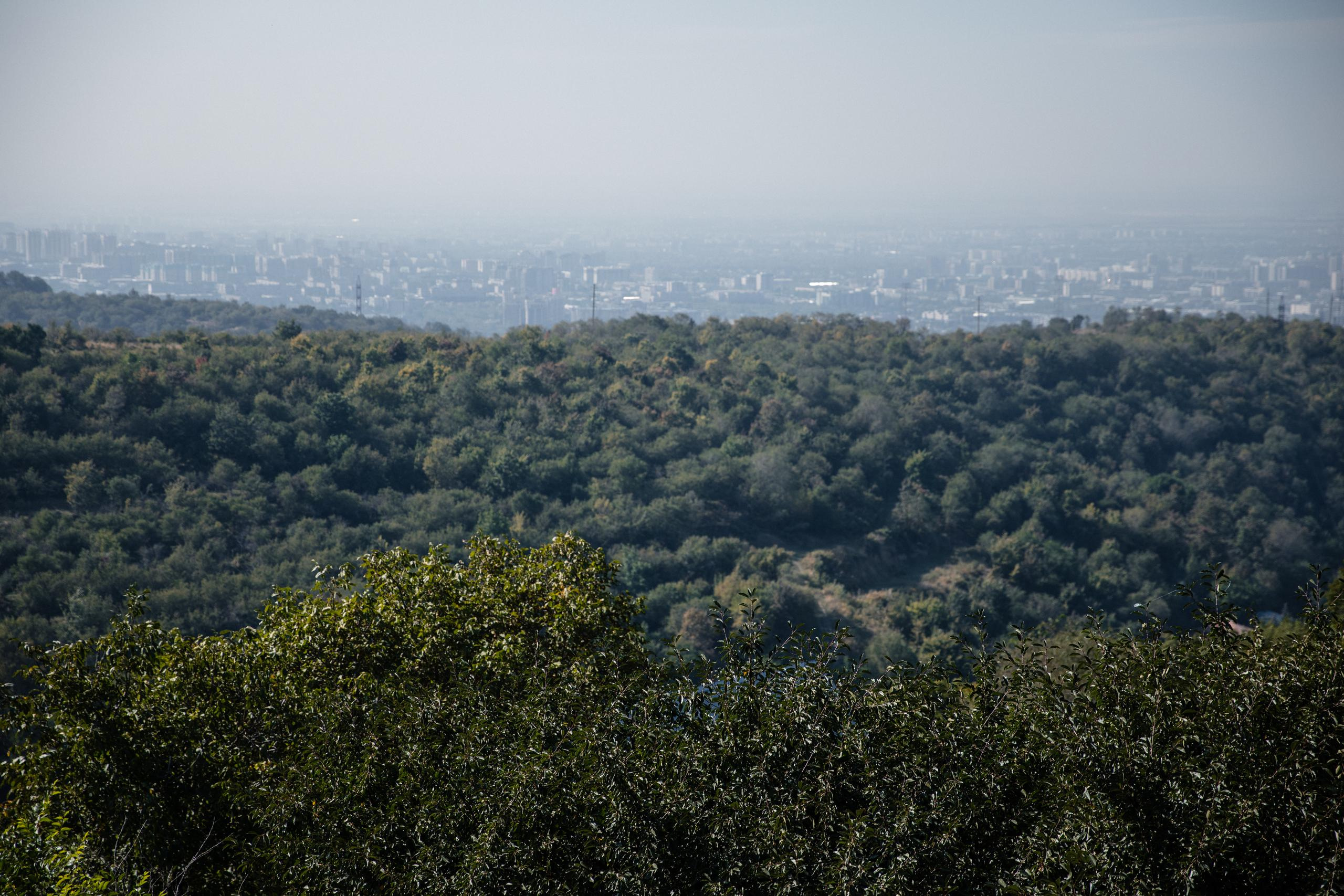 Свадьба Кирилл и Лиза. Свадебный фотограф в Алматы Николай Киреев