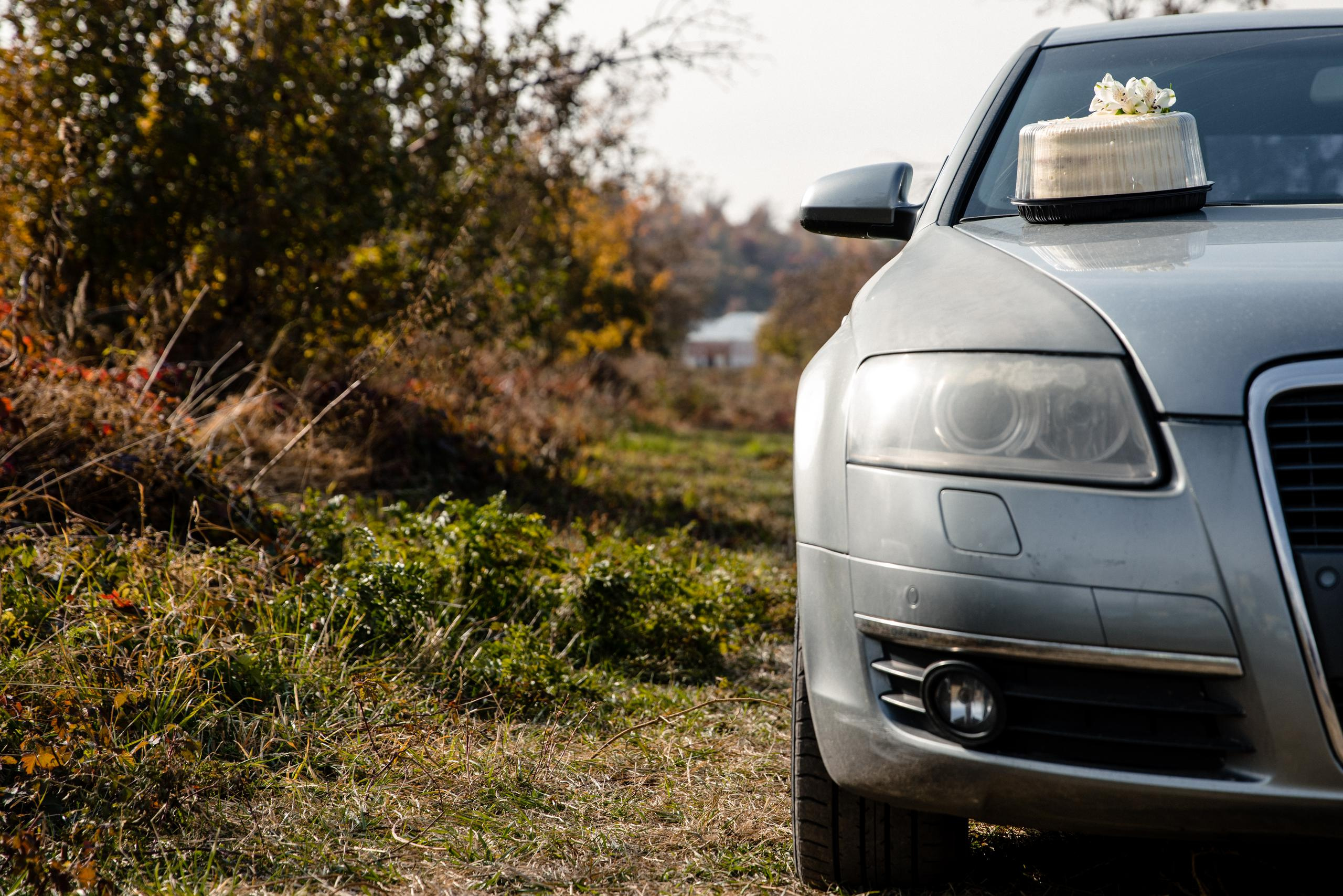 Свадьба Глеб и Маргарита. Свадебный фотограф в Алматы Николай Киреев