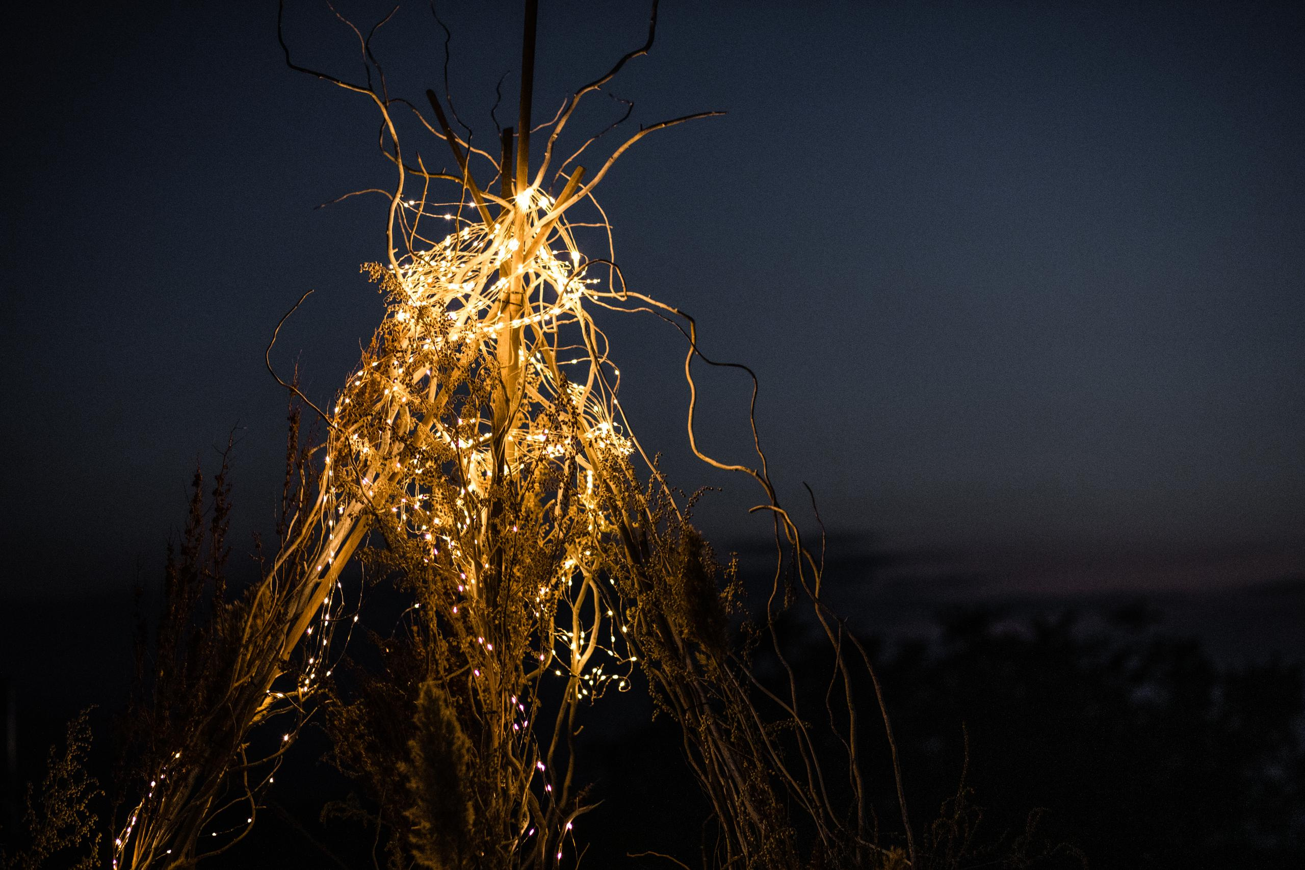 Свадьба Кирилл и Лиза. Свадебный фотограф в Алматы Николай Киреев