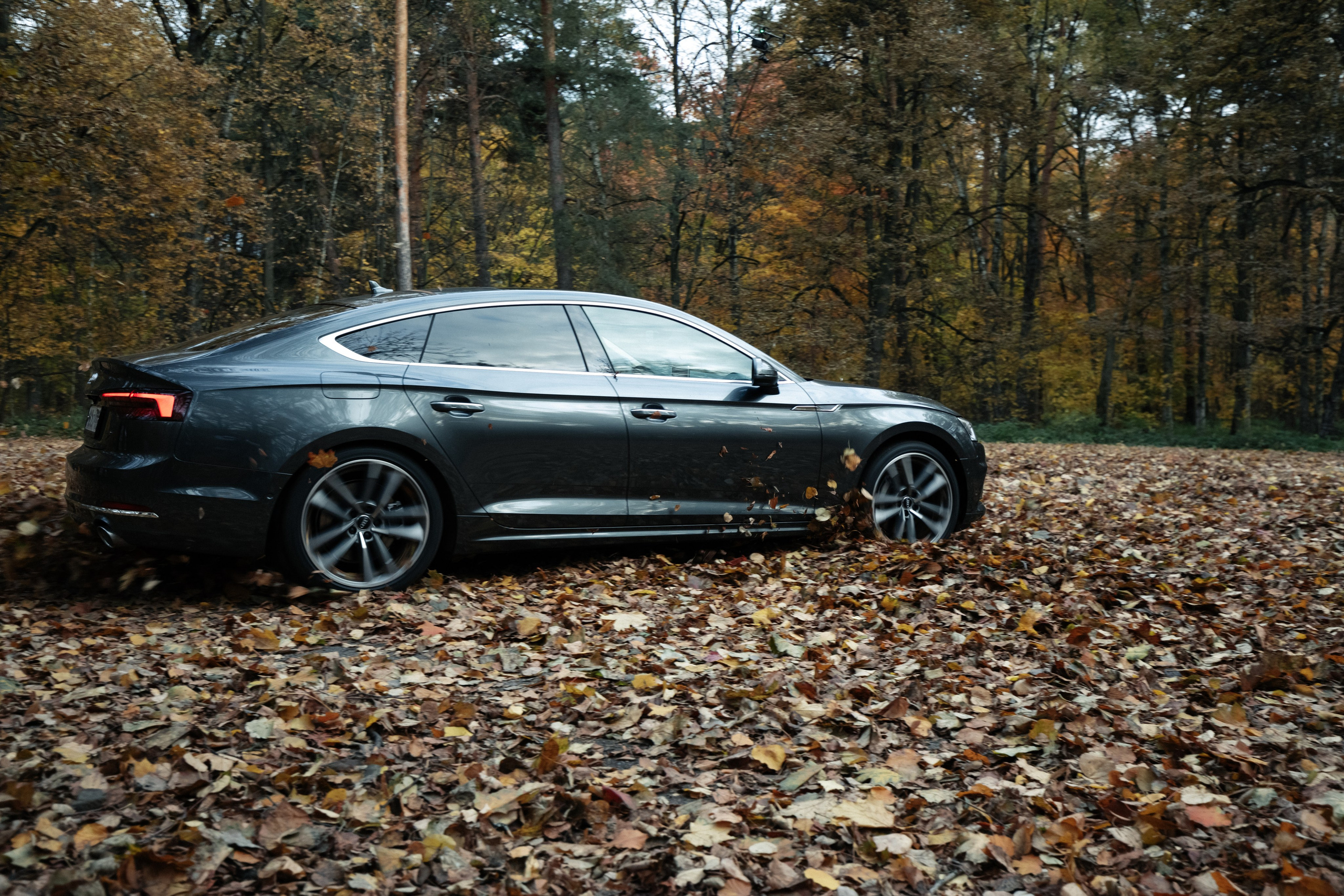 AUDI. Вадим Ветров