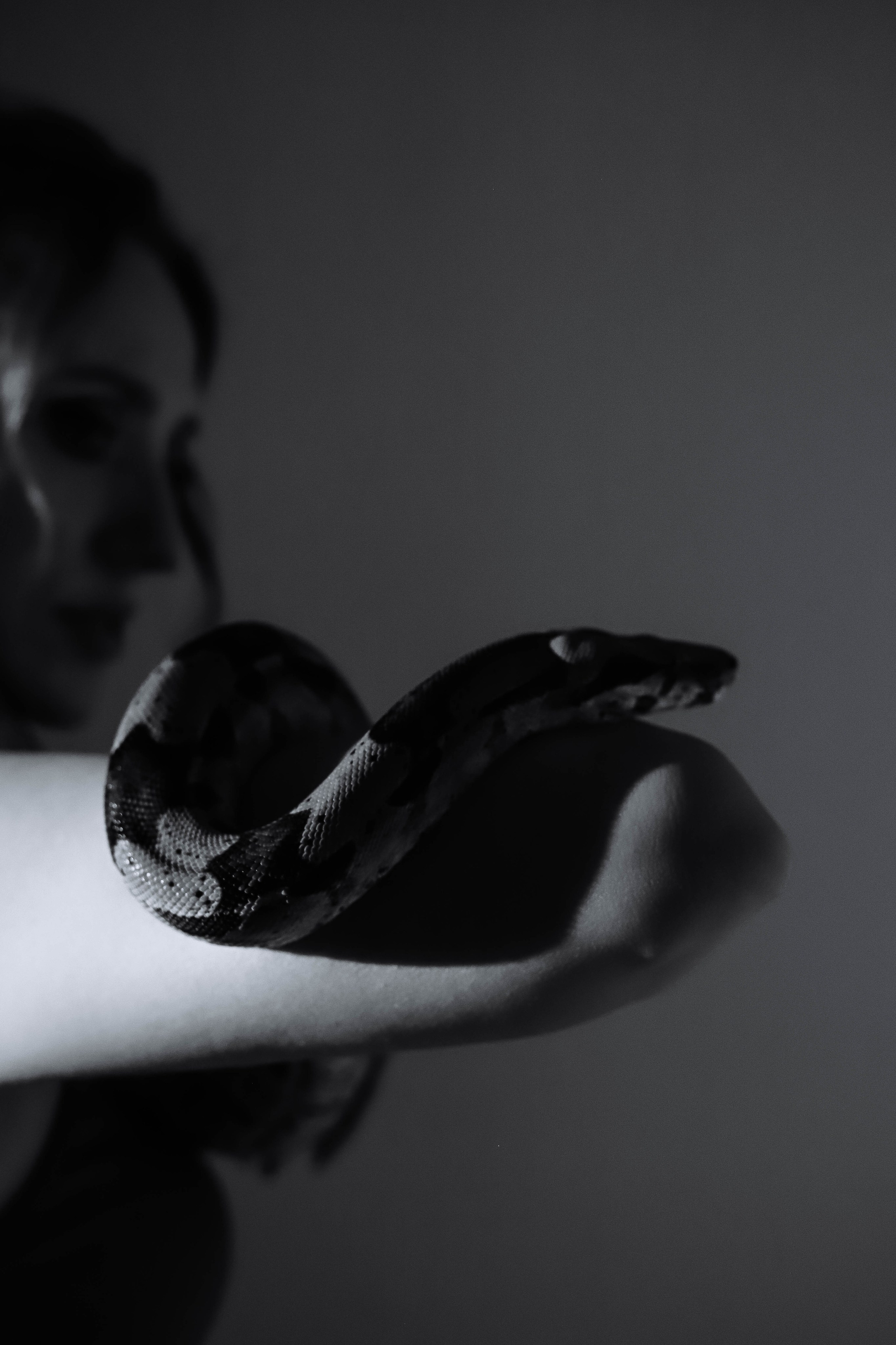 Фотопроект — snake. Женский/Детский фотограф в Симферополе Вероника Слепогина