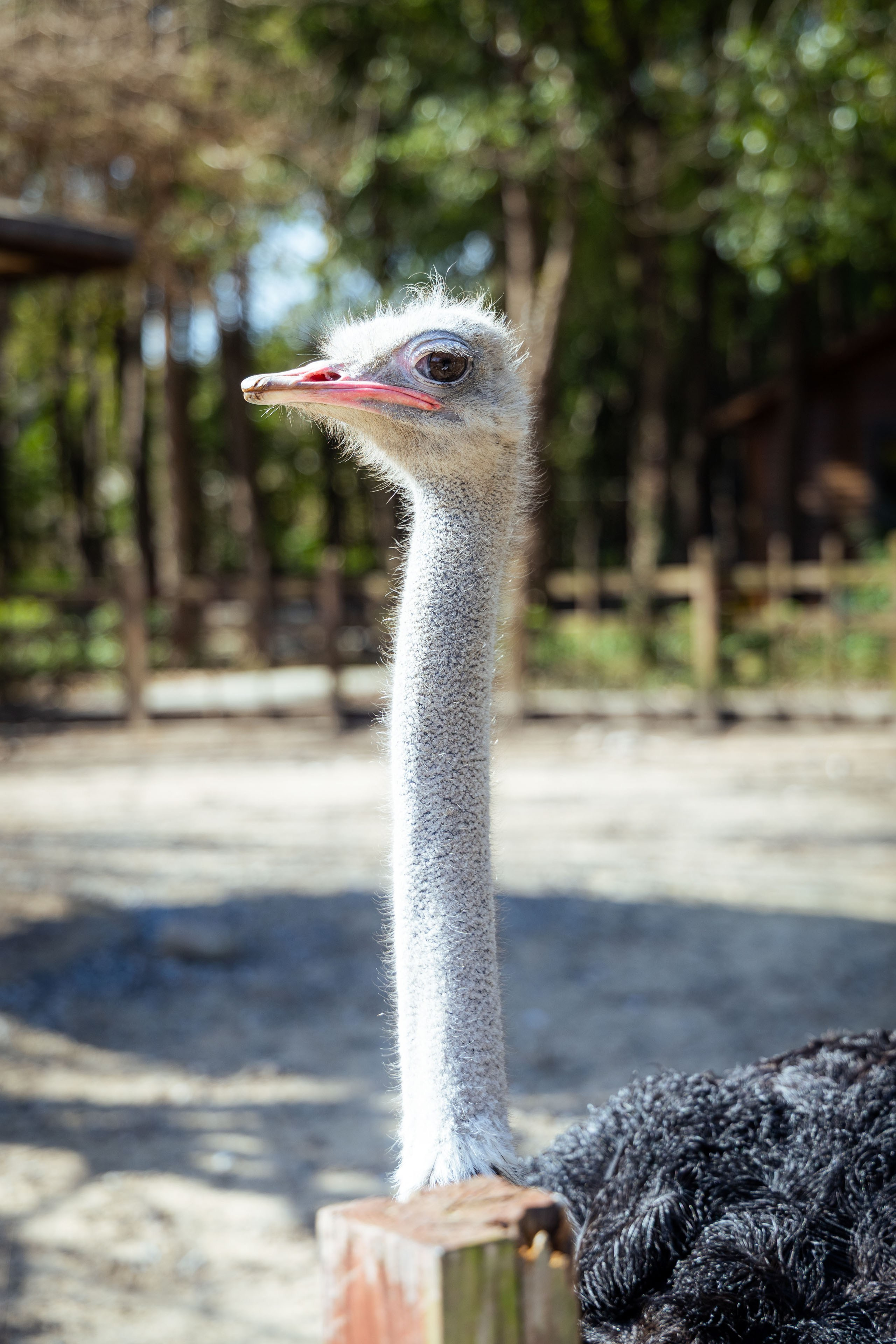 Шанхай (март 2026). Фотограф Виноградов Константин