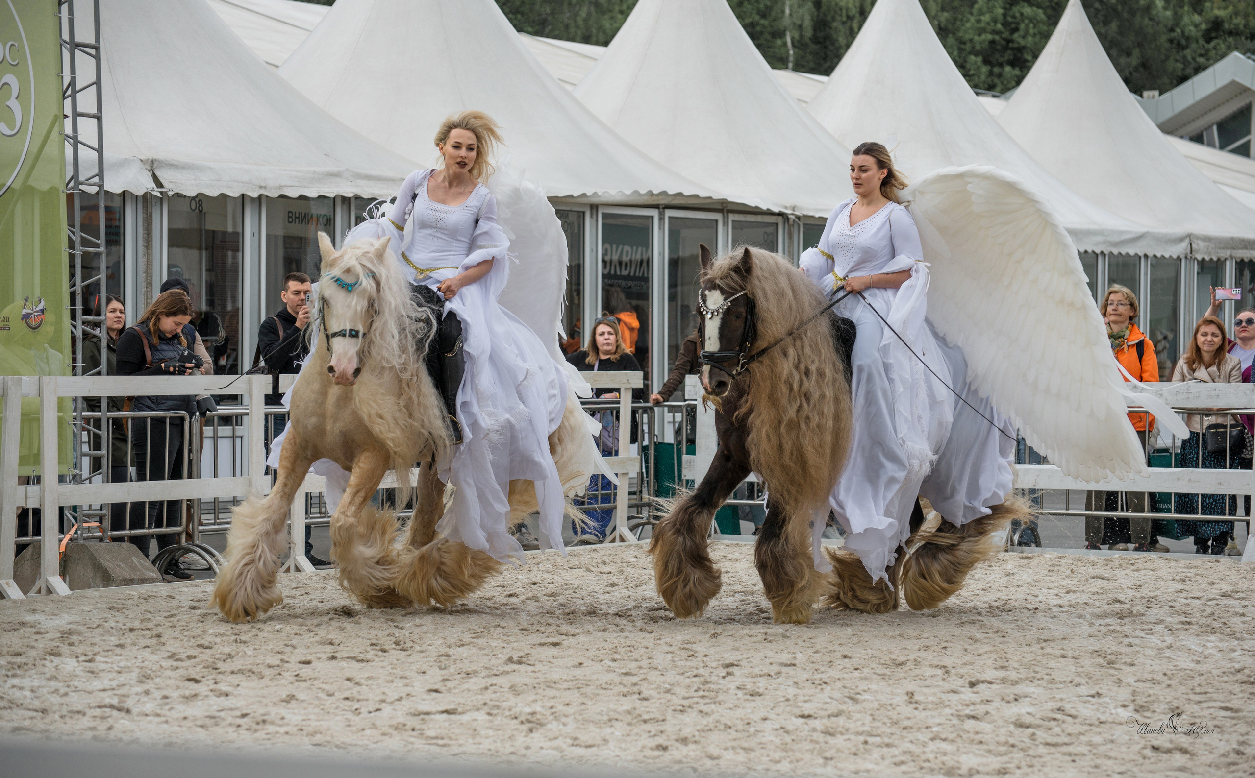 Эквирос, Москва. Конный фотограф в Саратове Юлия Иванова