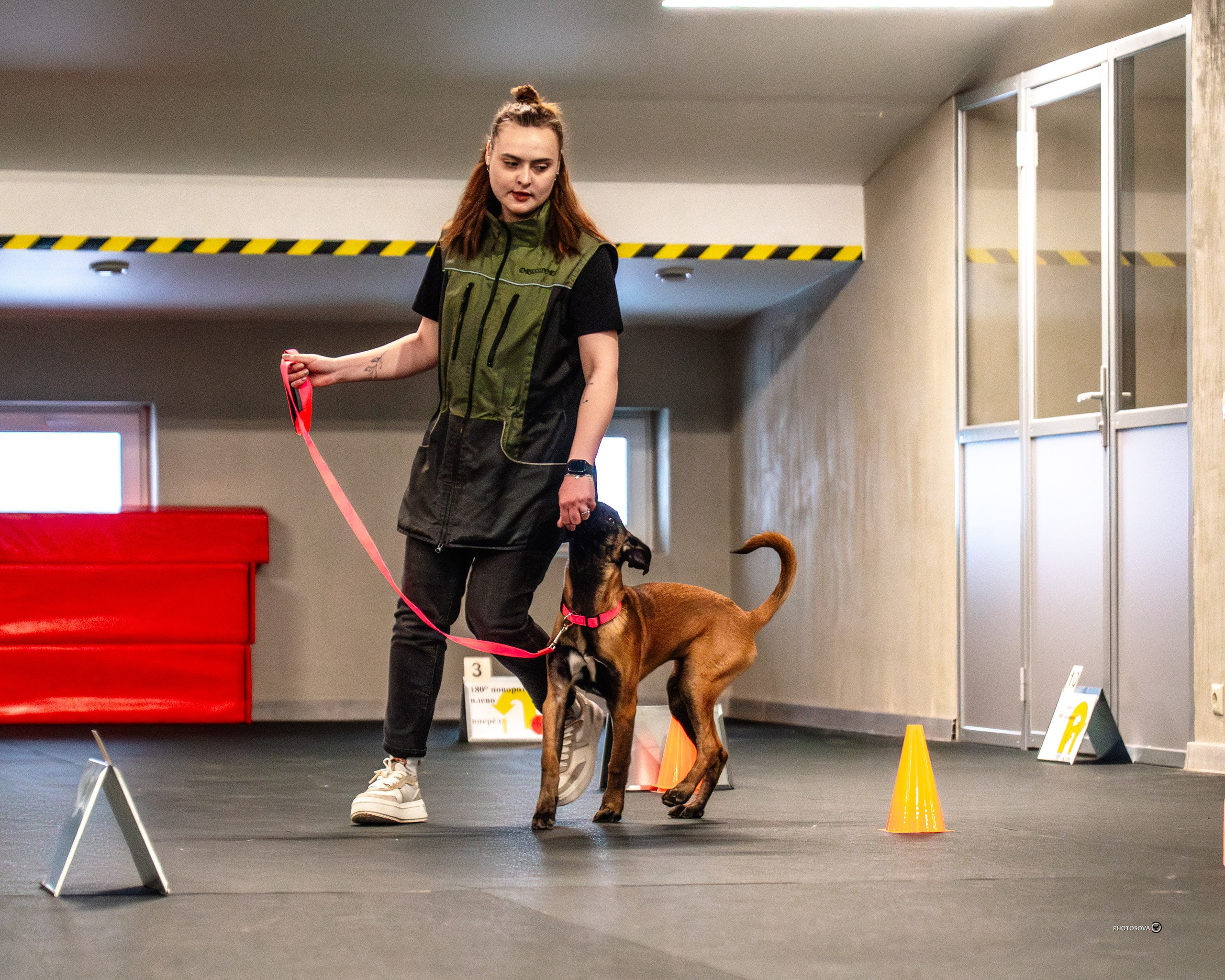 ТЫ И Я (соревнования по ралли-обидиенс). Фотограф-анималист, семейный фотограф в Москве и Подмосковье. Фотосъёмка кинологических дисциплин