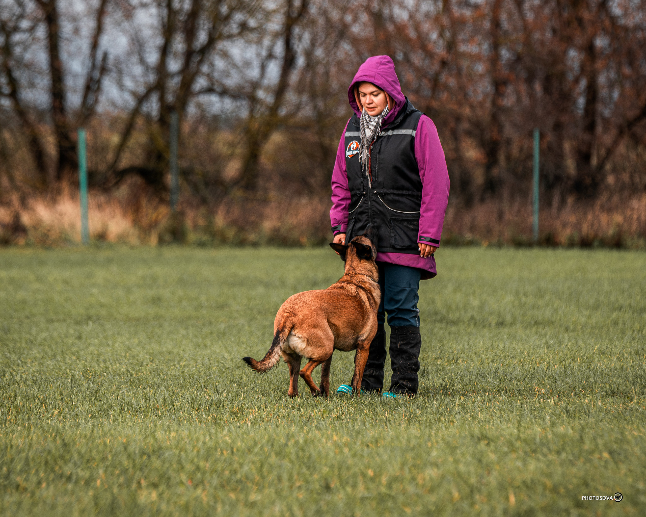 МЫ — КОМАНДА (соревнования) OKD, BH, IBGH, IGP. Фотограф-анималист, семейный фотограф в Москве и Подмосковье. Фотосъёмка кинологических дисциплин
