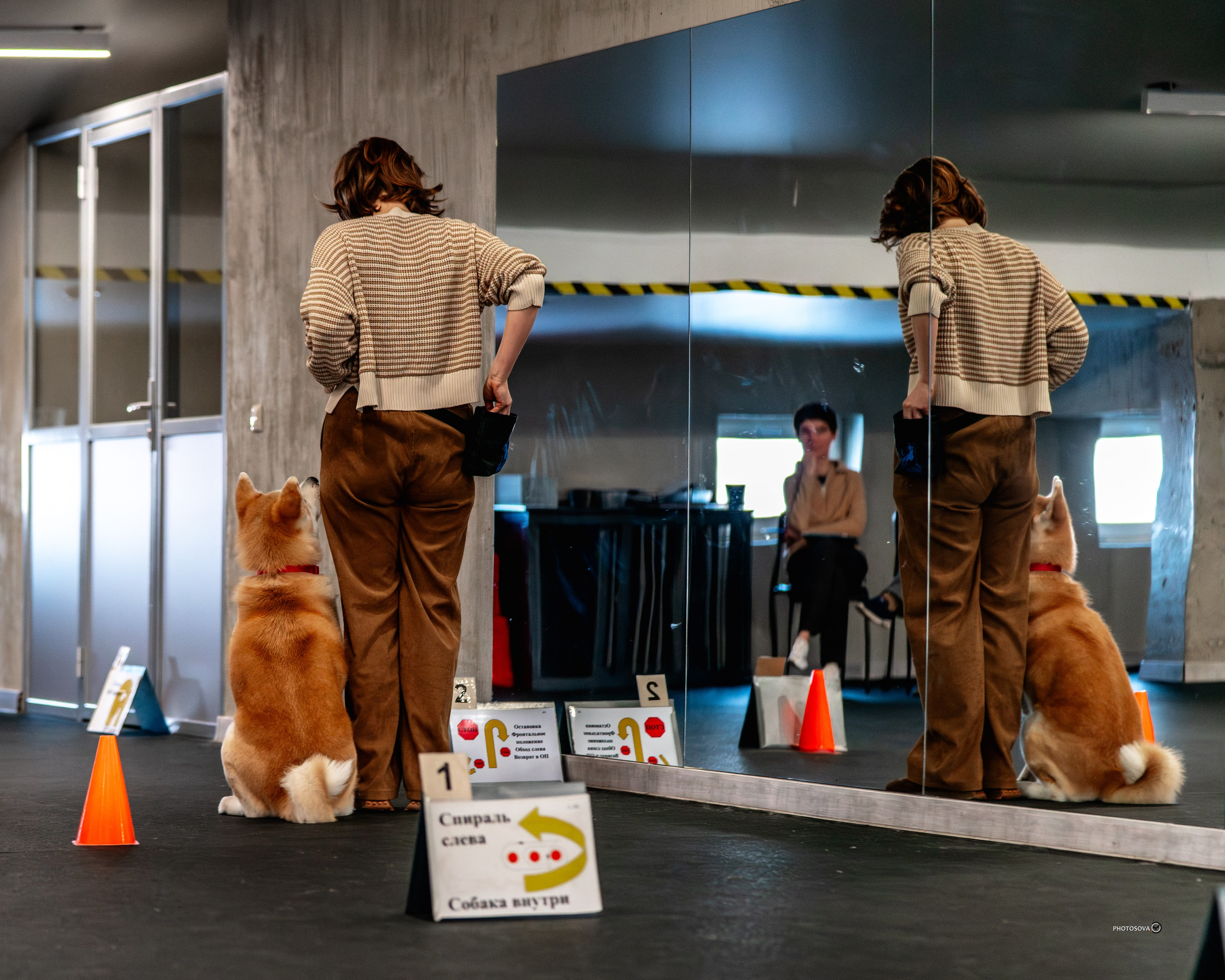 ТЫ И Я (соревнования по ралли-обидиенс). Фотограф-анималист, семейный фотограф в Москве и Подмосковье. Фотосъёмка кинологических дисциплин