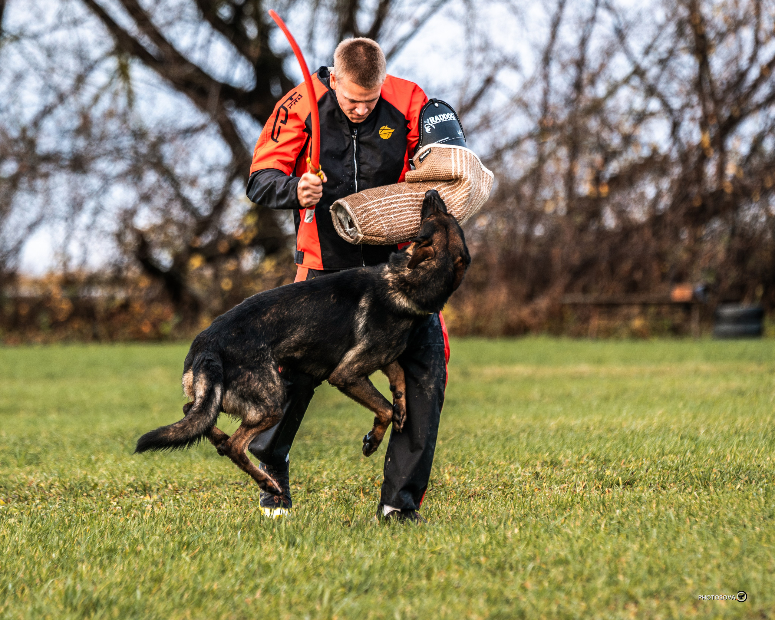 МЫ — КОМАНДА (соревнования) OKD, BH, IBGH, IGP. Фотограф-анималист, семейный фотограф в Москве и Подмосковье. Фотосъёмка кинологических дисциплин