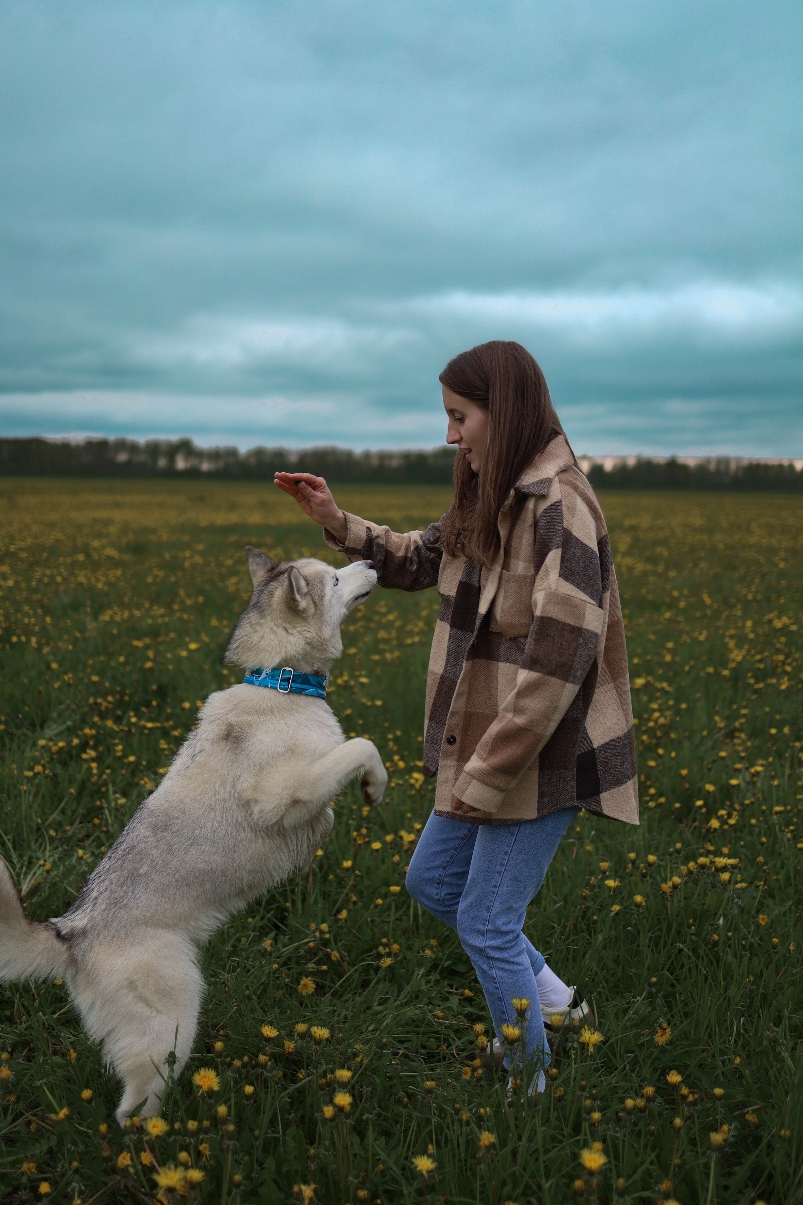 Шанти и Катя. Фотограф-анималист в Санкт-Петеребурге Титова Алиса